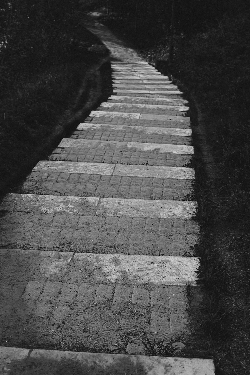 a black and white photo of a stone path