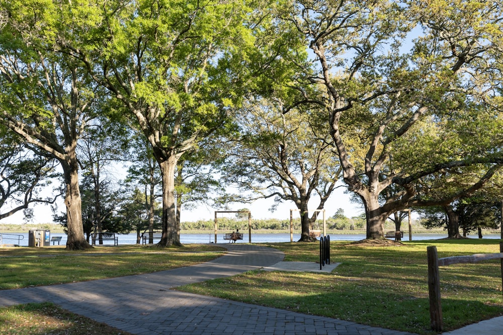 a park with trees and a walkway leading to a lake