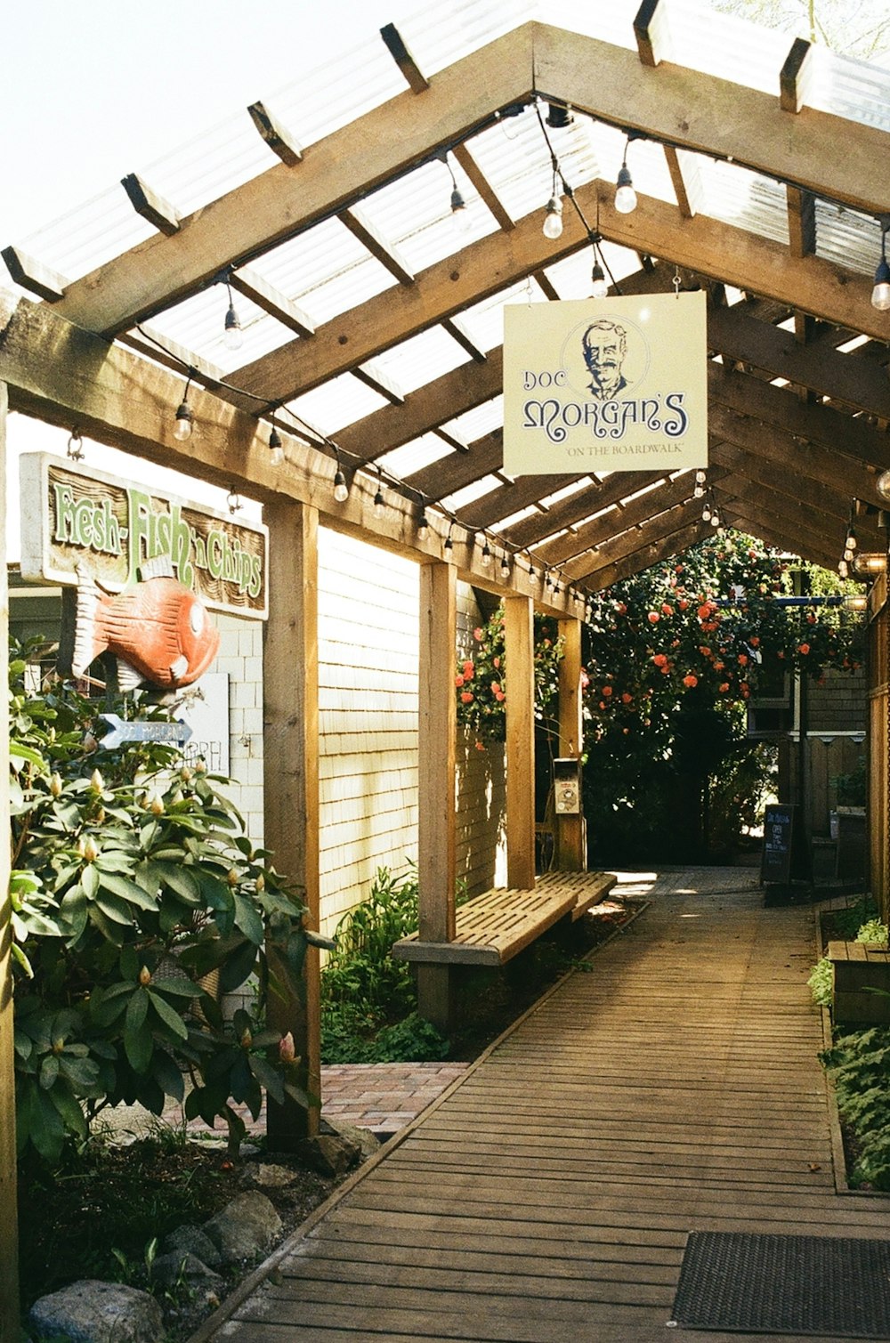 a wooden walkway leading to a garden center
