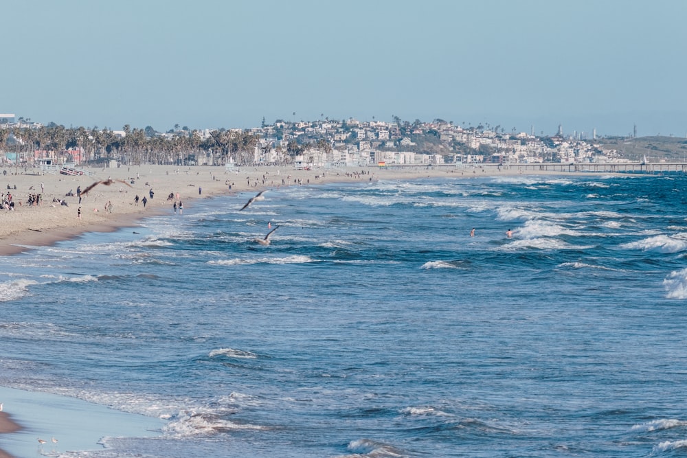 a group of people standing on top of a beach next to the ocean