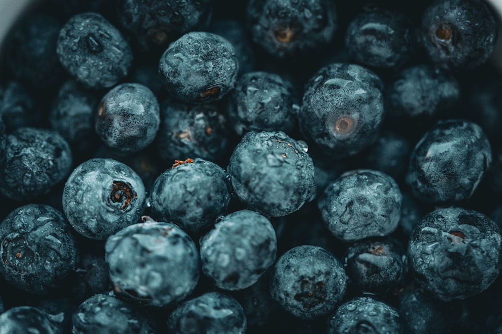 a close up of a bowl of blueberries