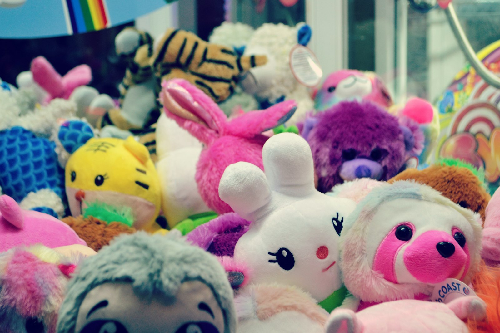Our Most-Loved Toys