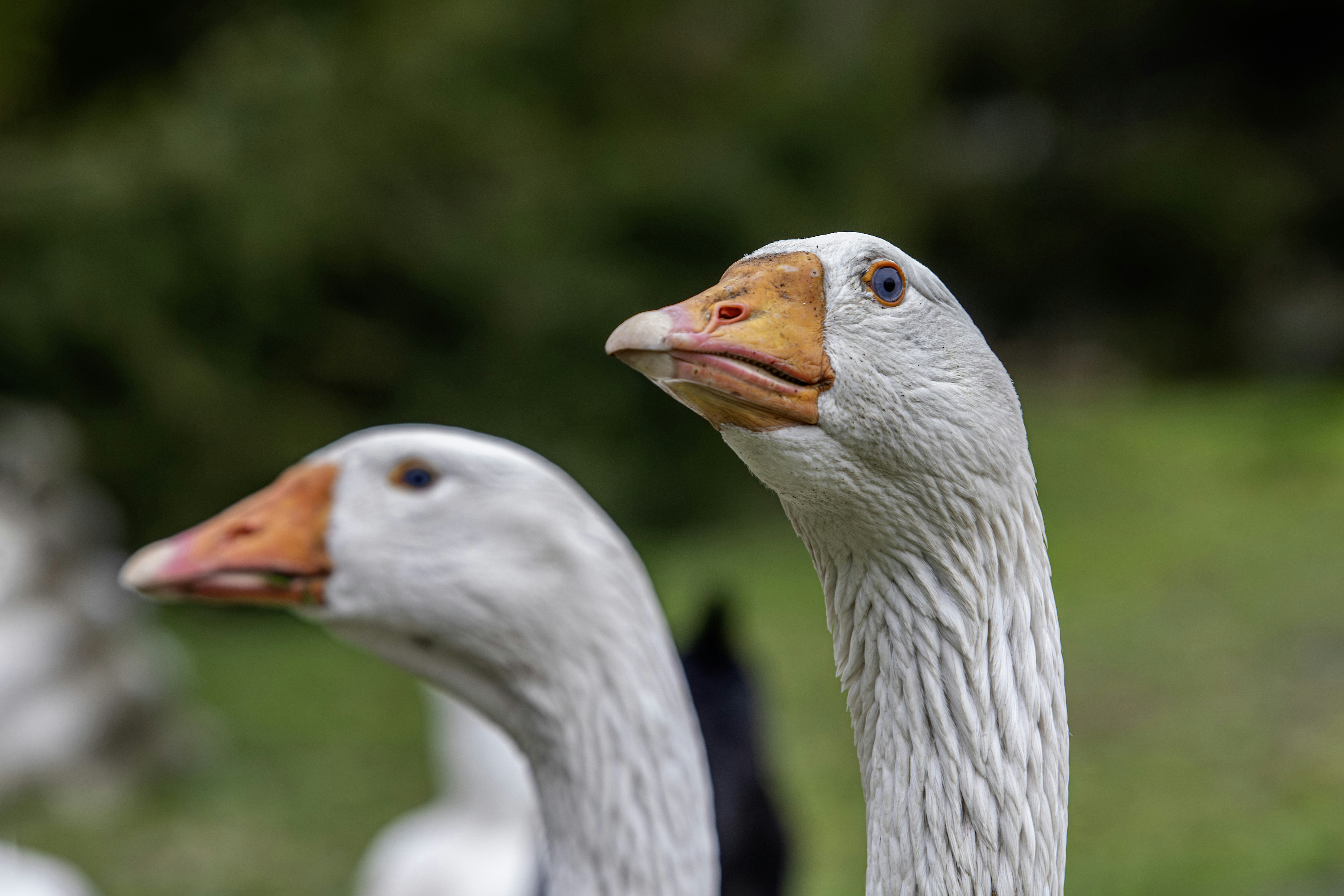 Photo by erik_karits