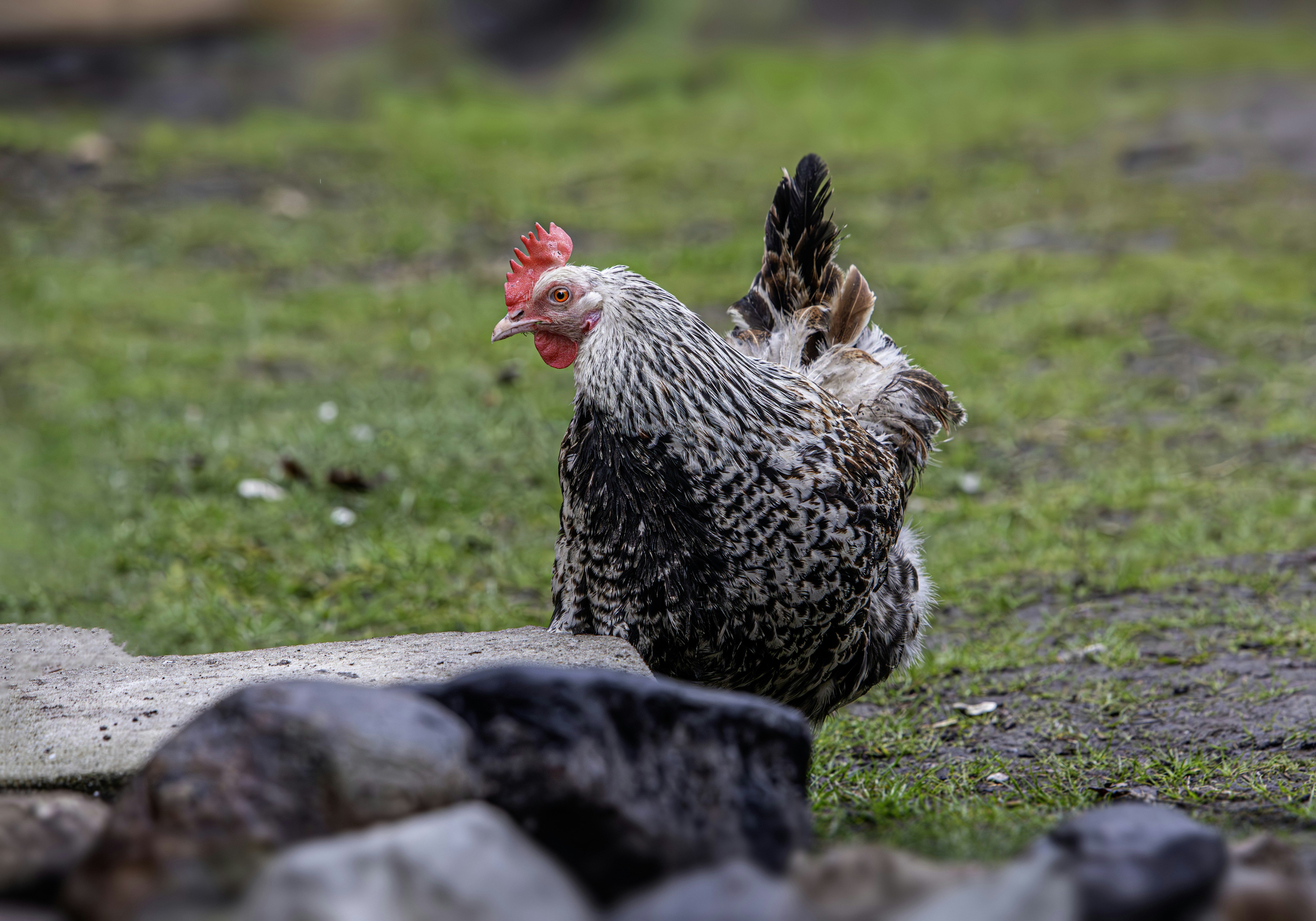 Photo by erik_karits