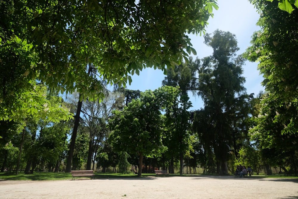 a group of people sitting on a bench in a park