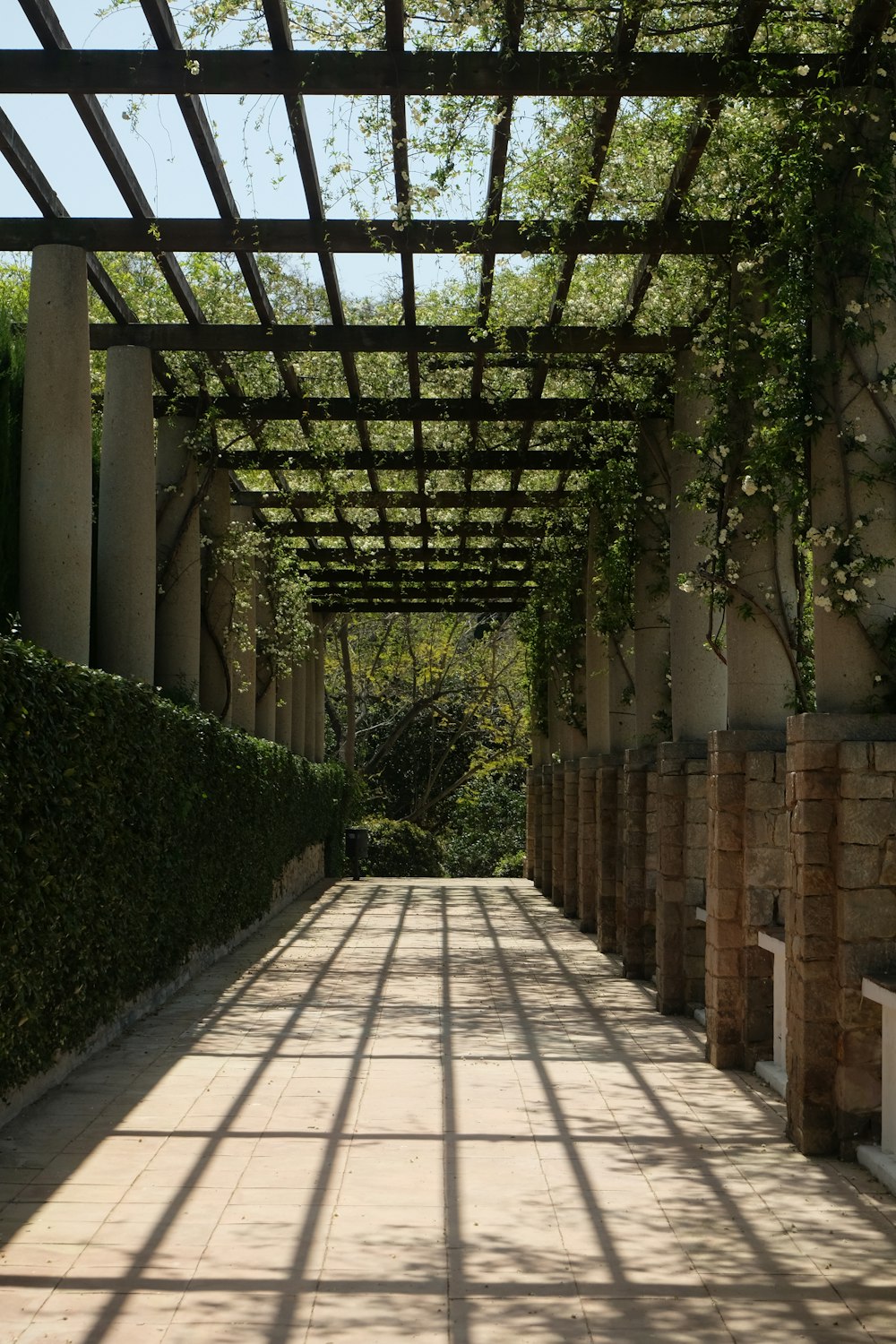 a walkway lined with stone pillars and plants