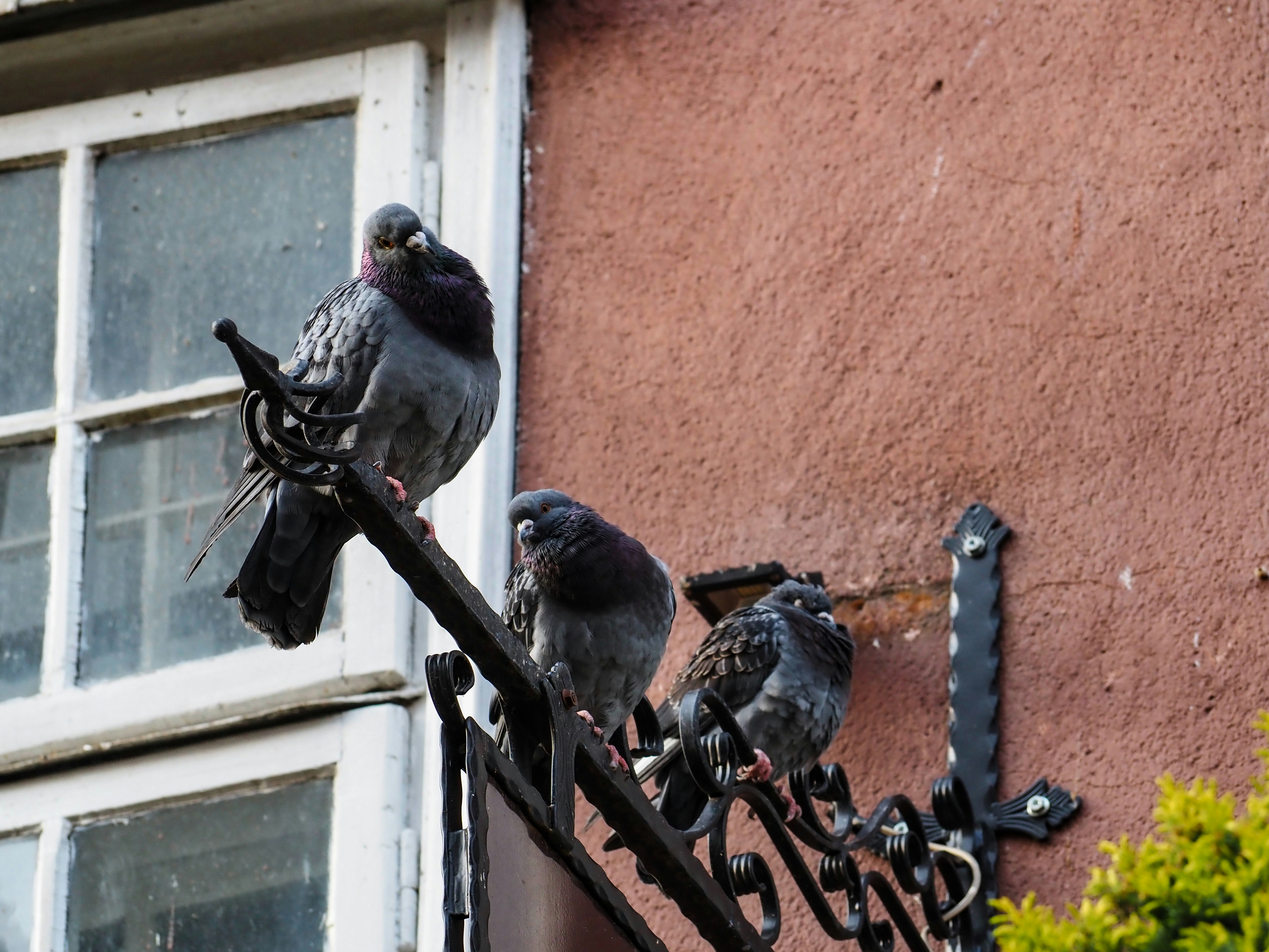 Gdańsk – Final Summary