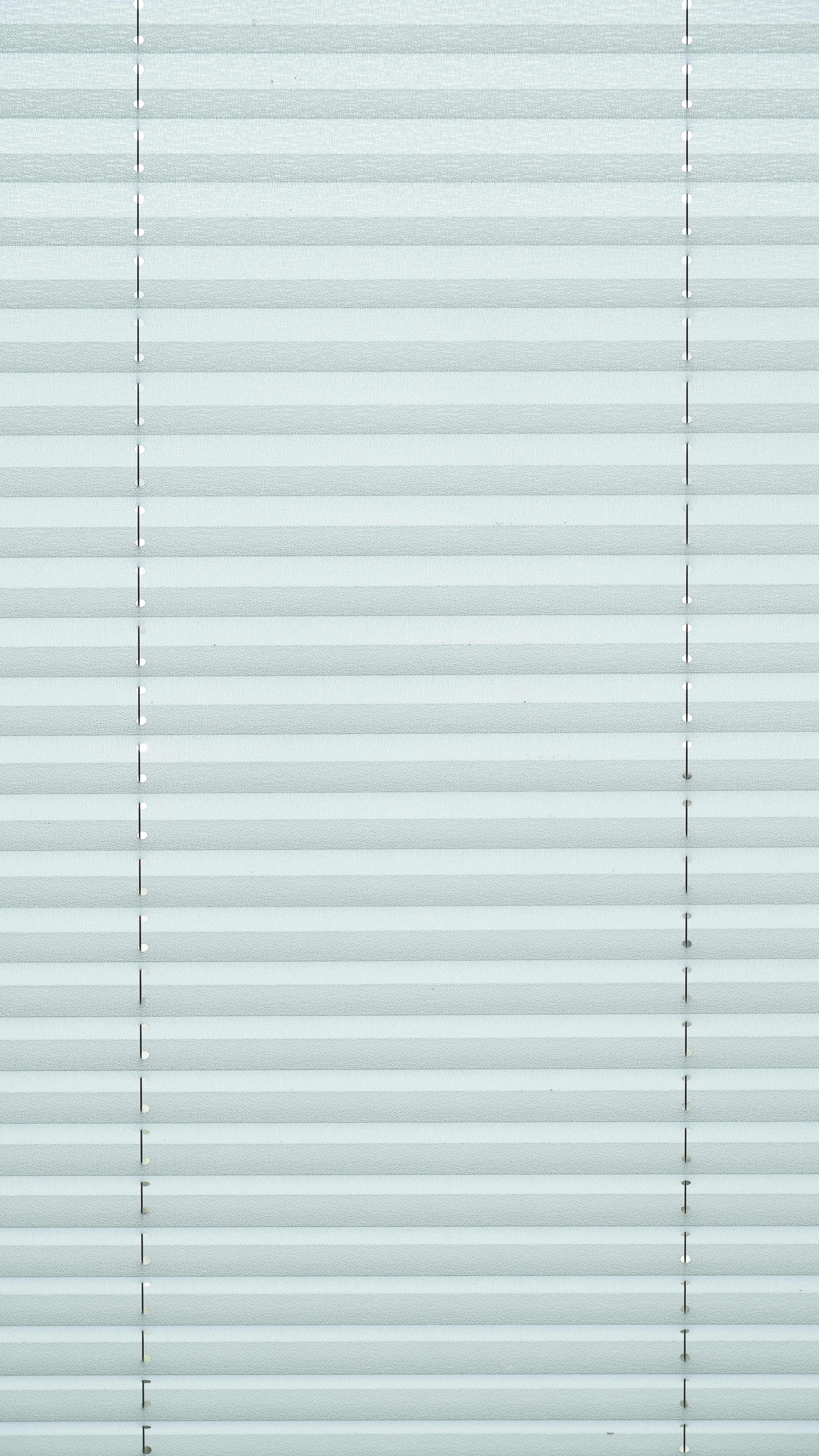 database management wallpaper, wallpaper, SQL Update: Mastering Data Modification 1