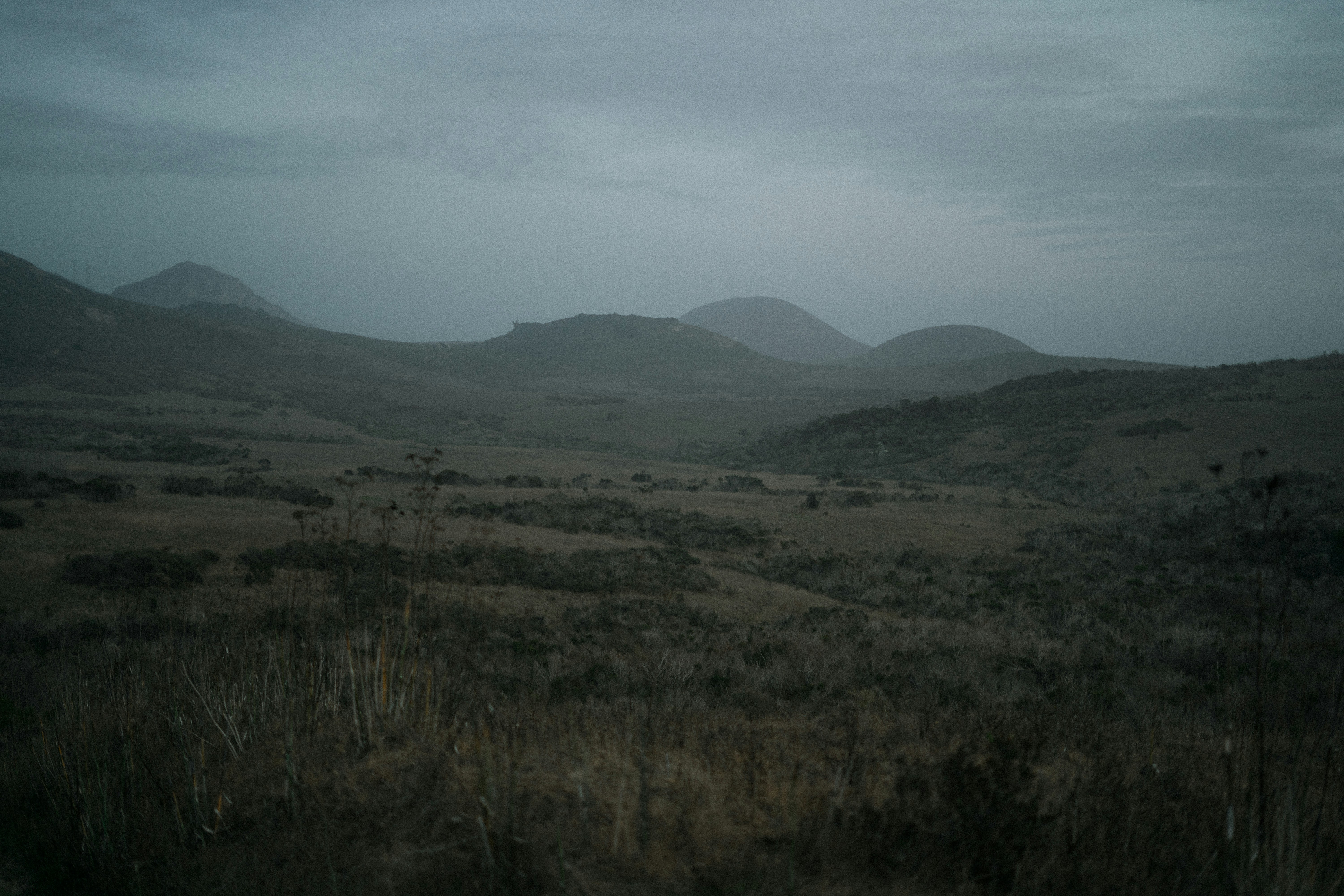 a field with mountains in the distance