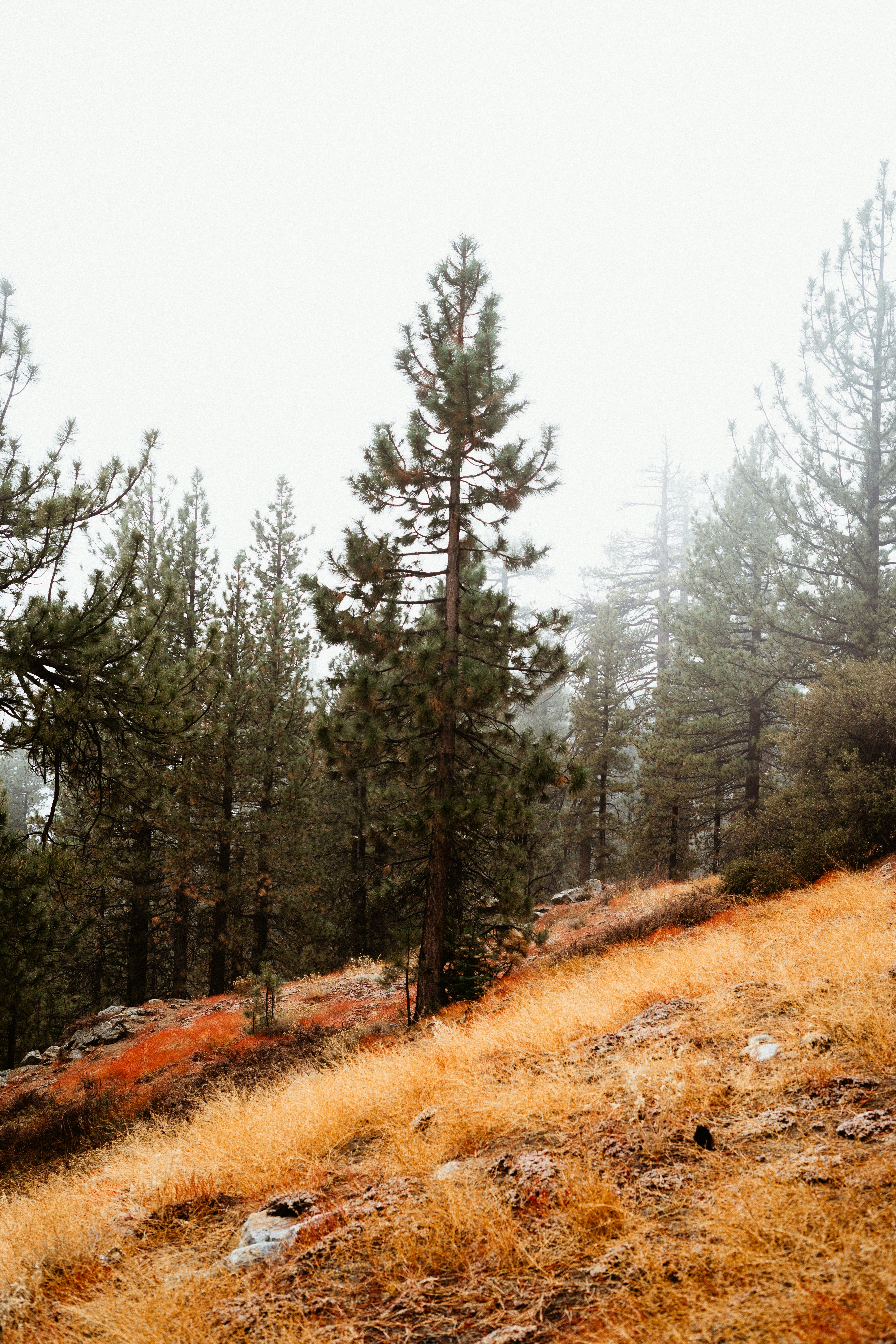 a person walking up a hill with a backpack