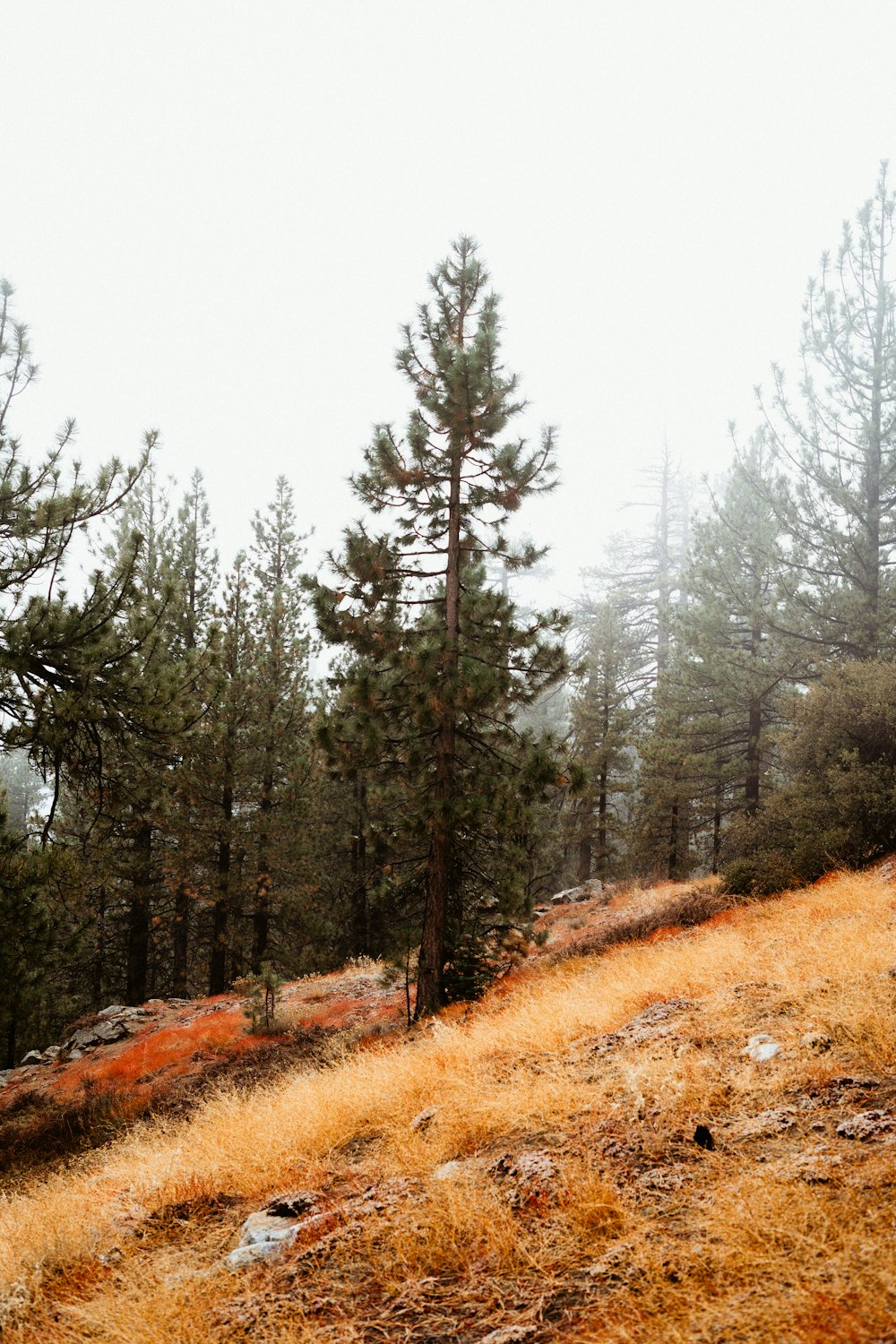 a person walking up a hill with a backpack