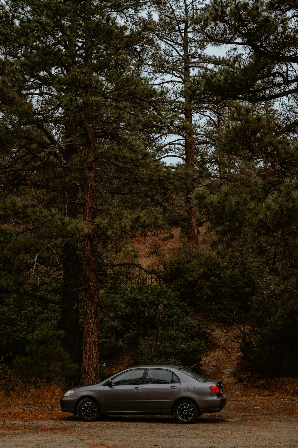 a car is parked in front of some trees