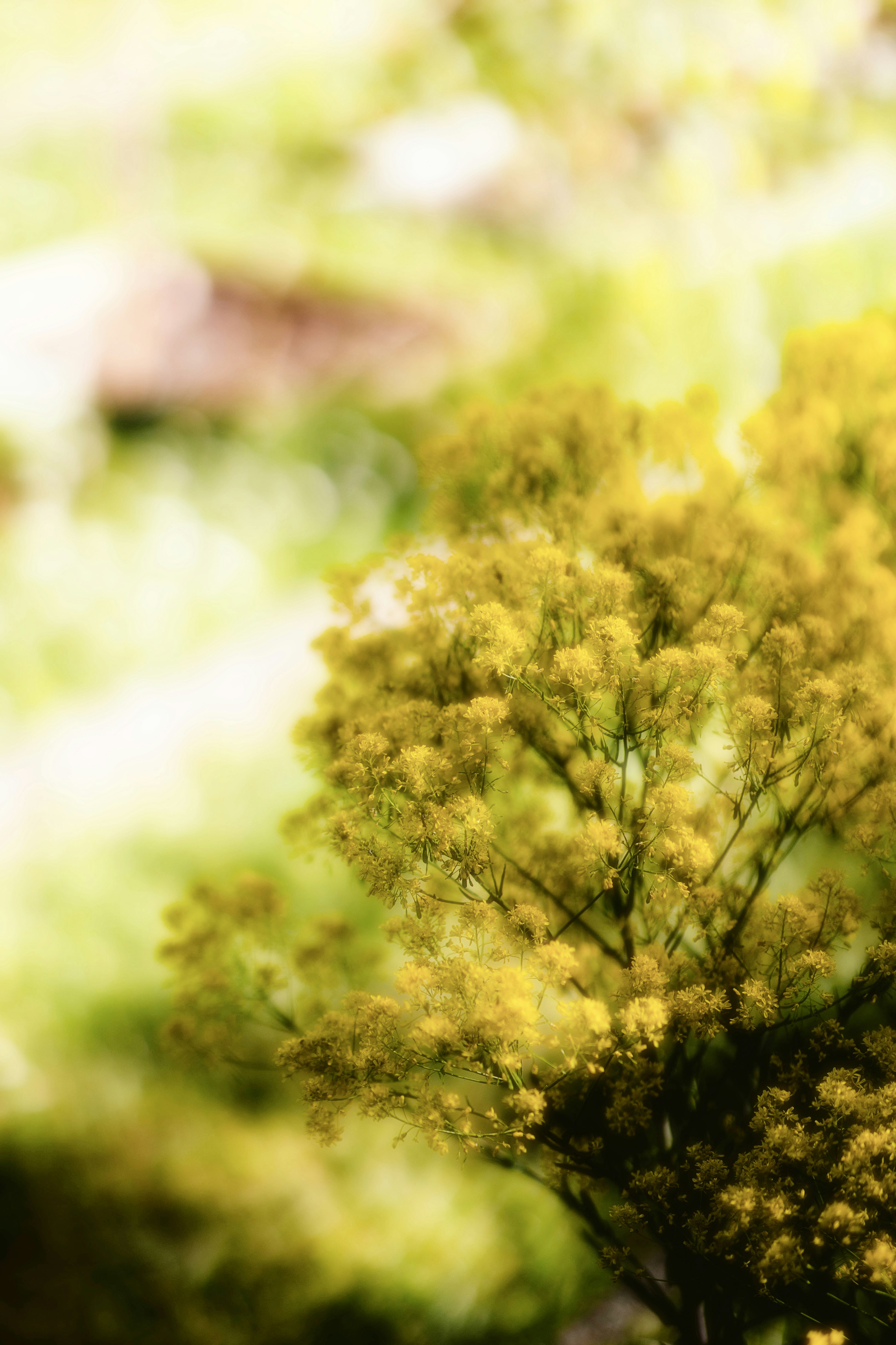 Photo by alingavriliuc