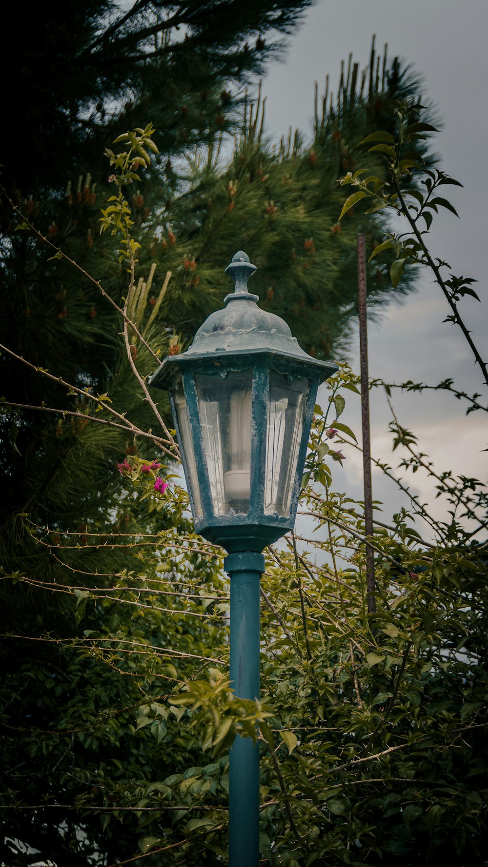 a blue street light sitting next to a tree