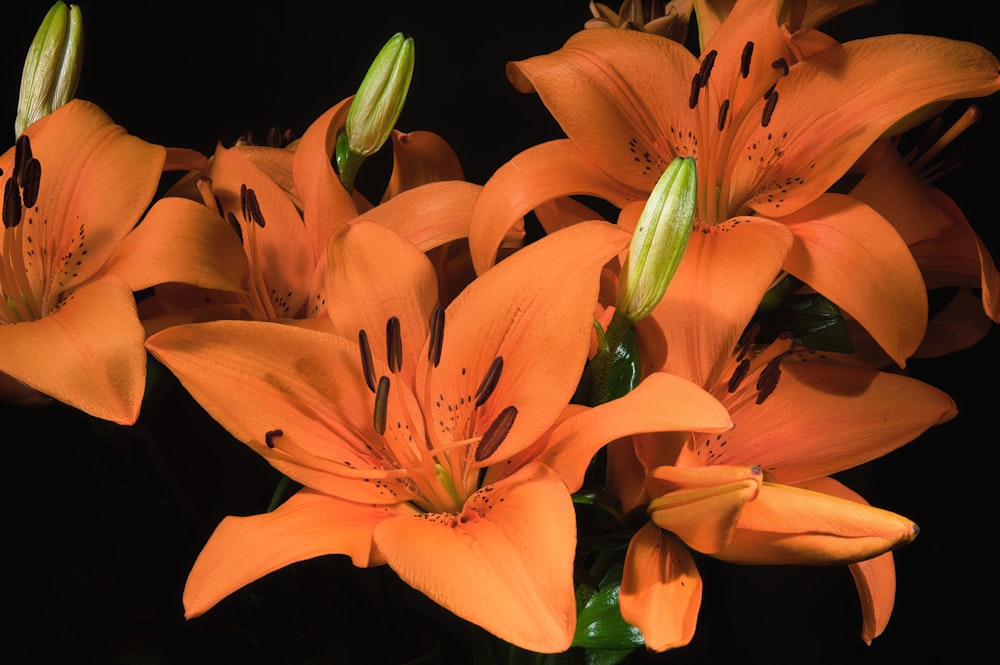 a bunch of orange lilies are in a vase