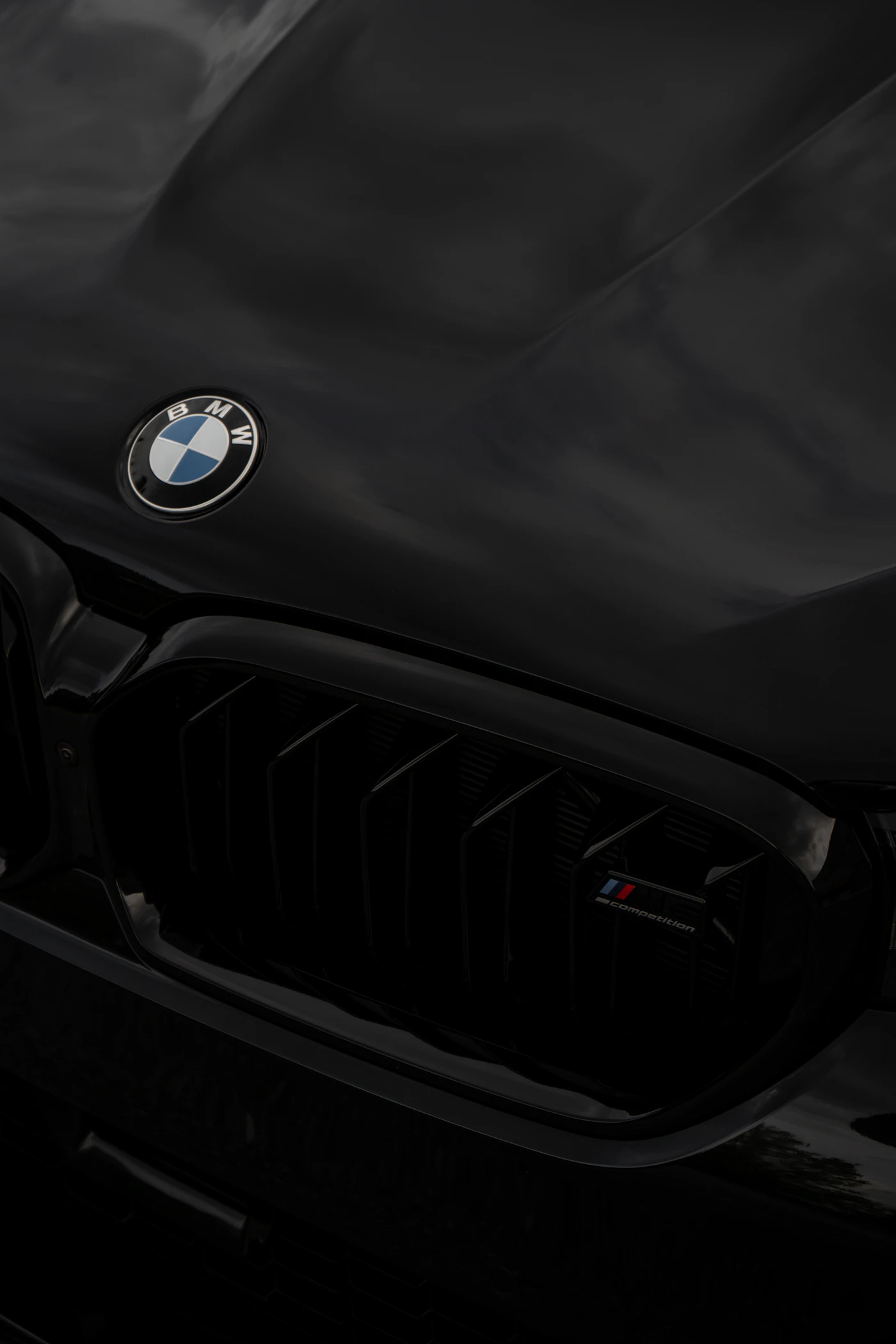Deep glossy black paint after a detail