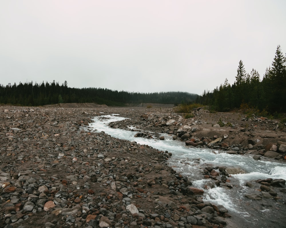 a river running through a forest filled with rocks