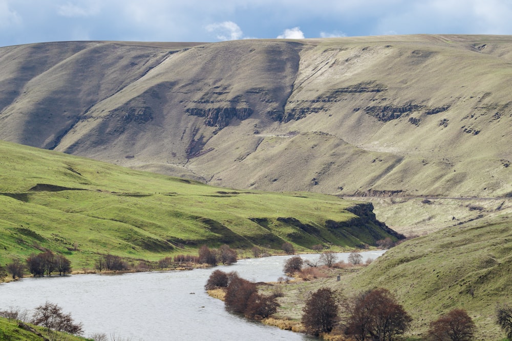 a river running through a lush green valley