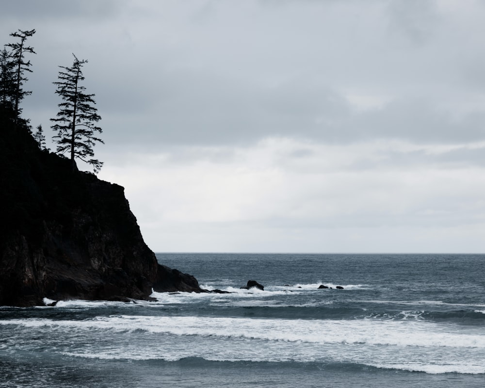 a black and white photo of the ocean and trees
