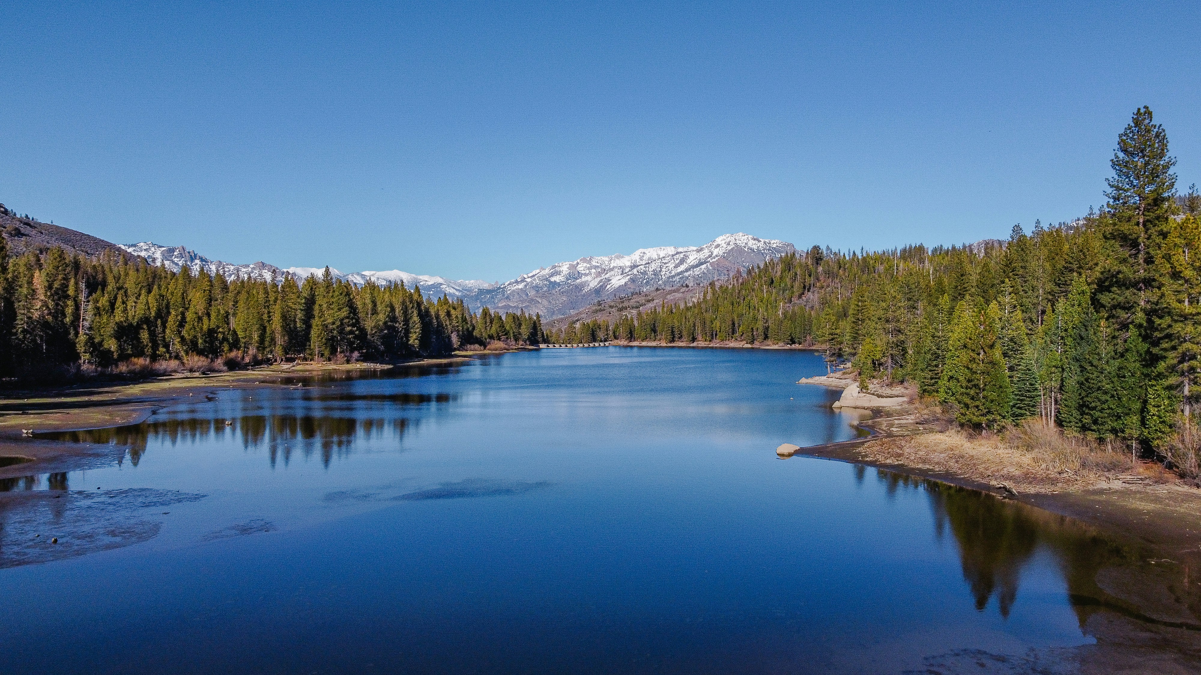 Photo by calebbosman17