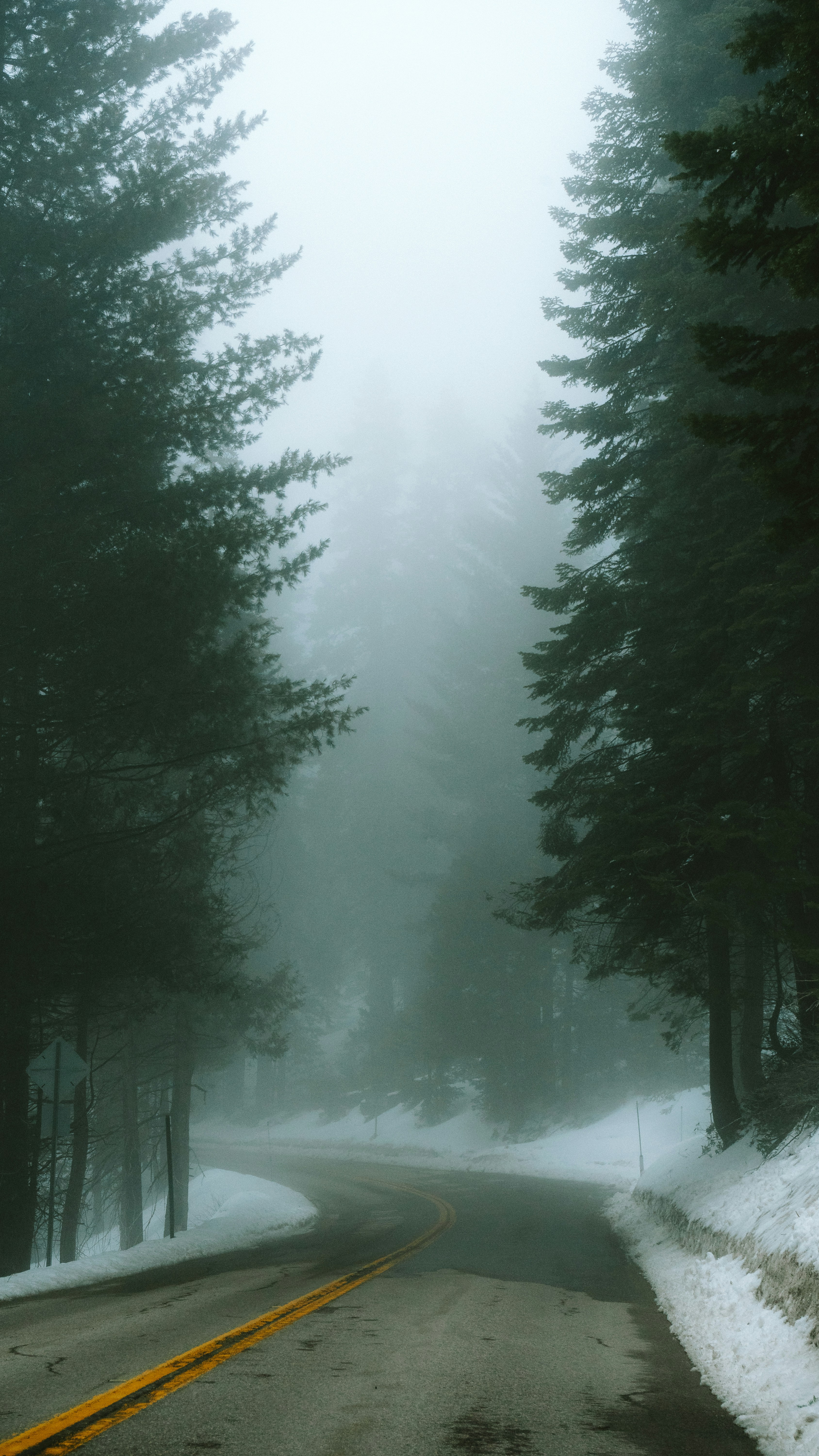 Photo by calebbosman17