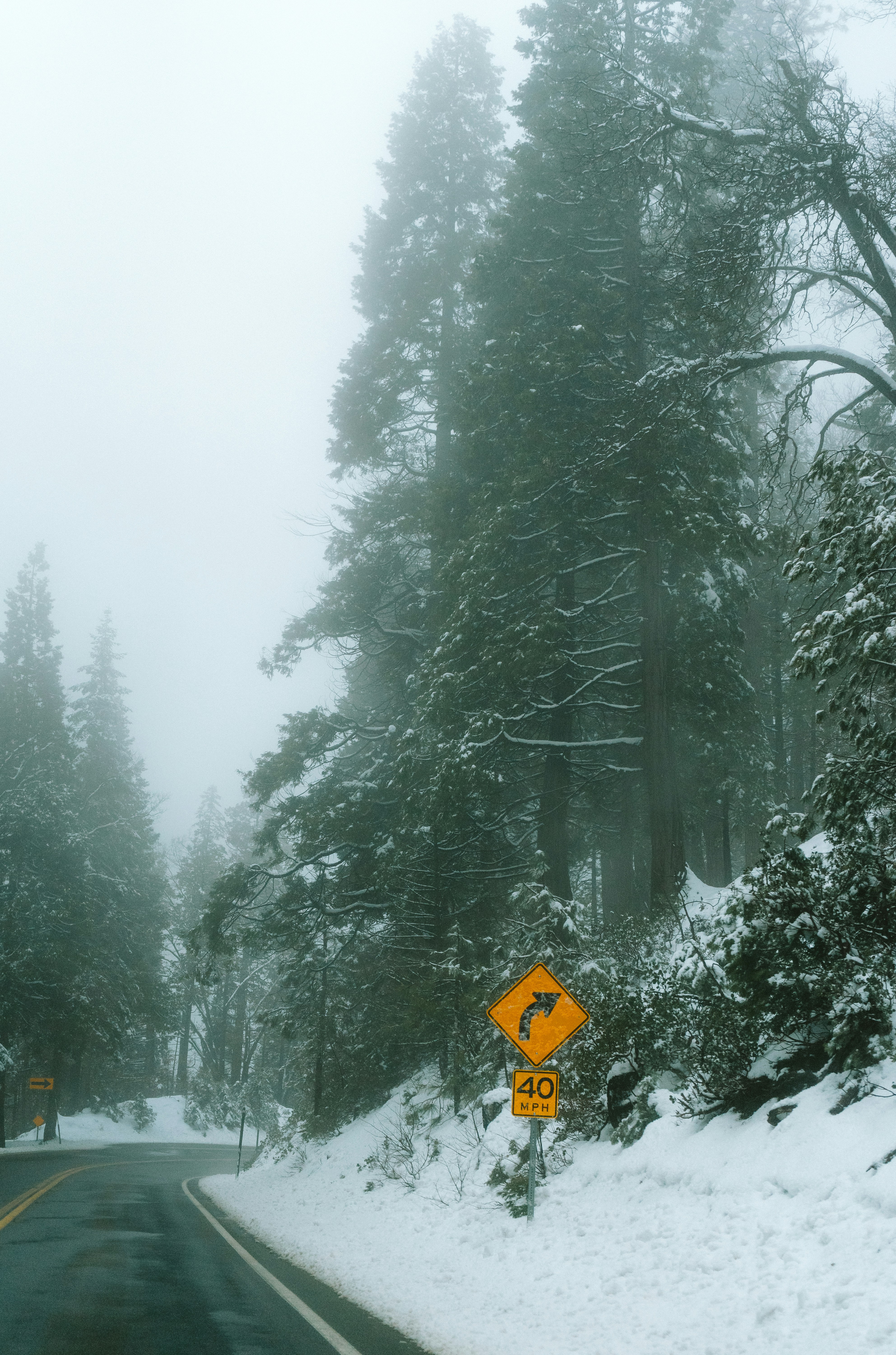 Photo by calebbosman17