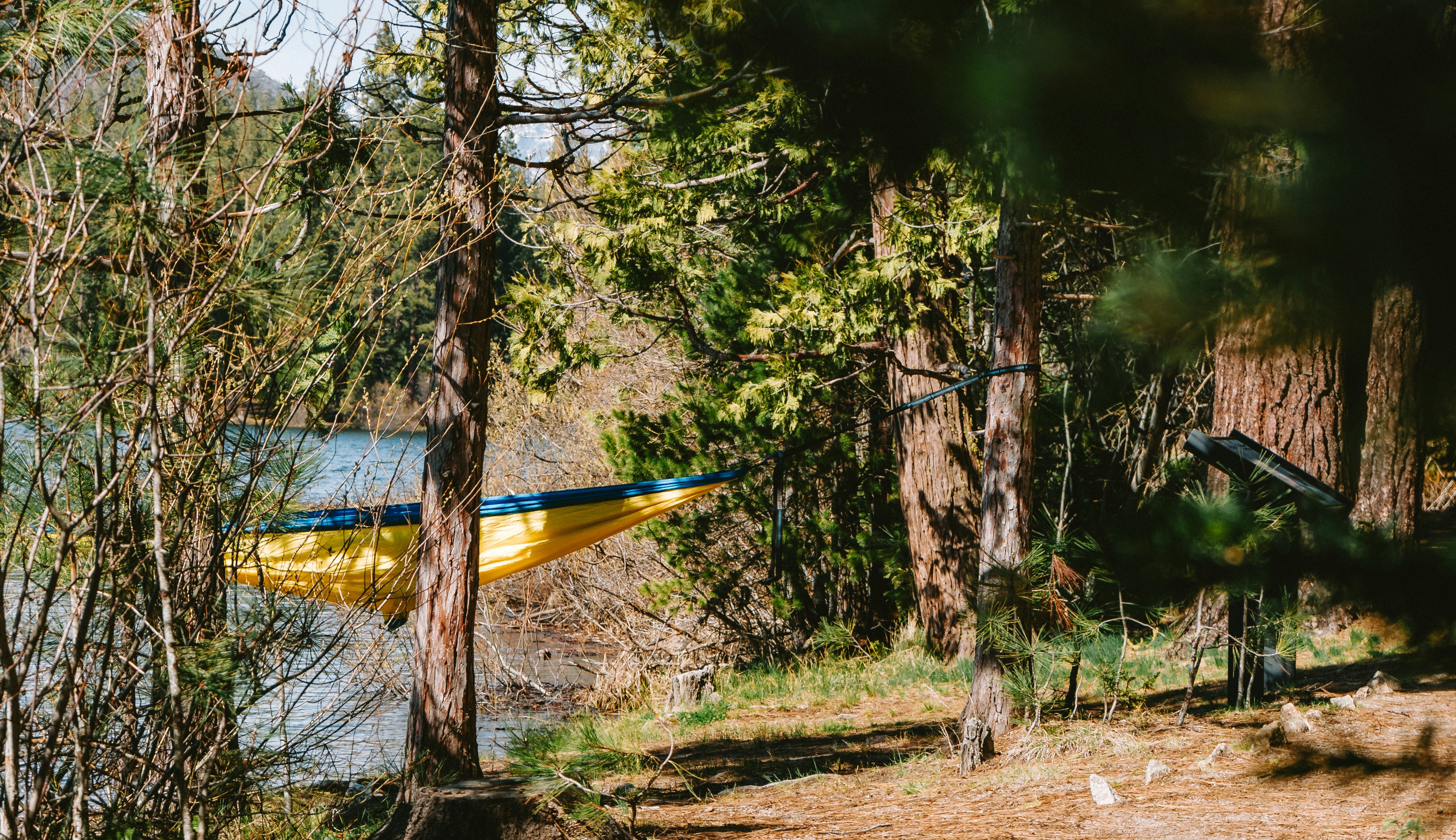 Photo by calebbosman17