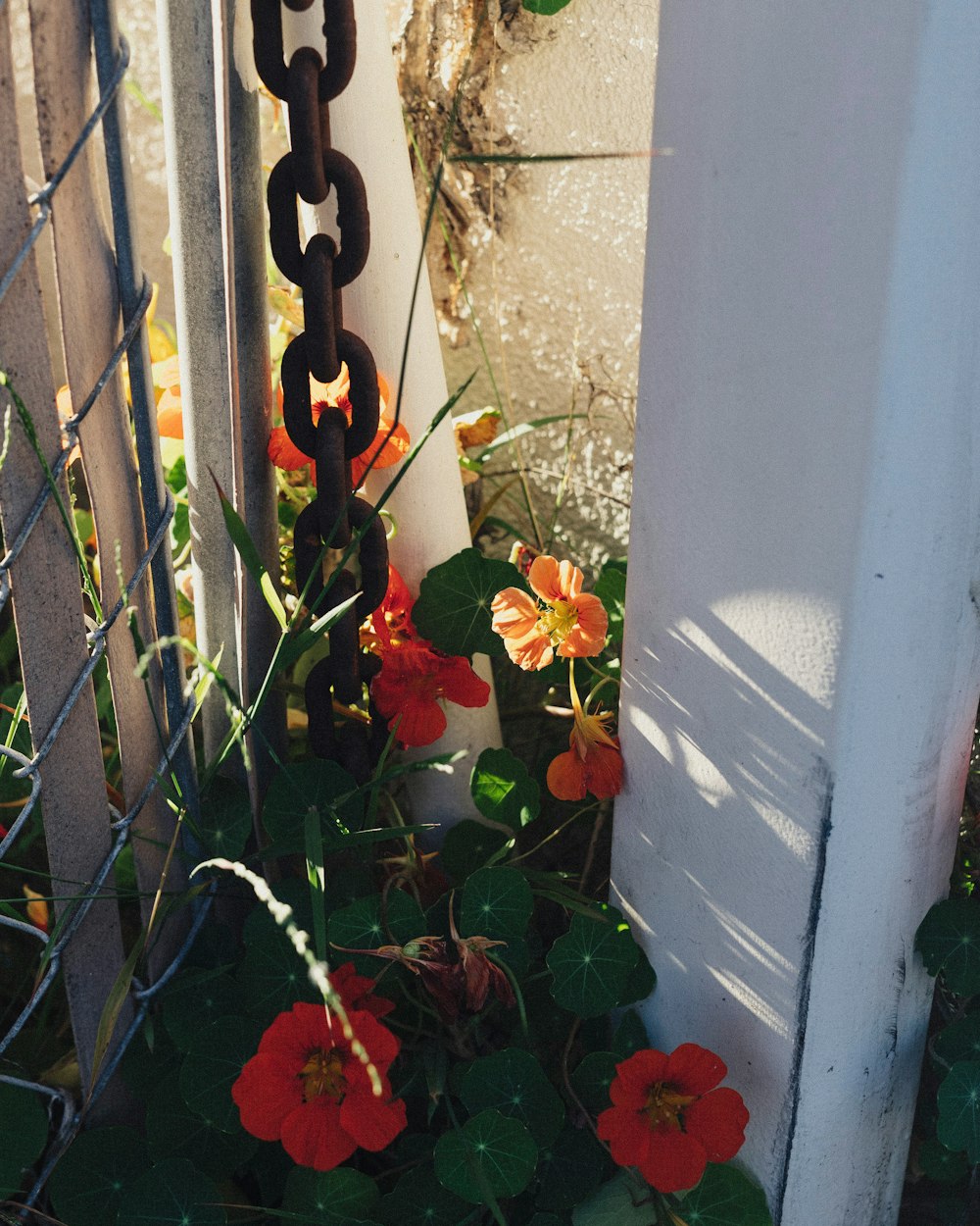 a chain hanging from the side of a building next to flowers