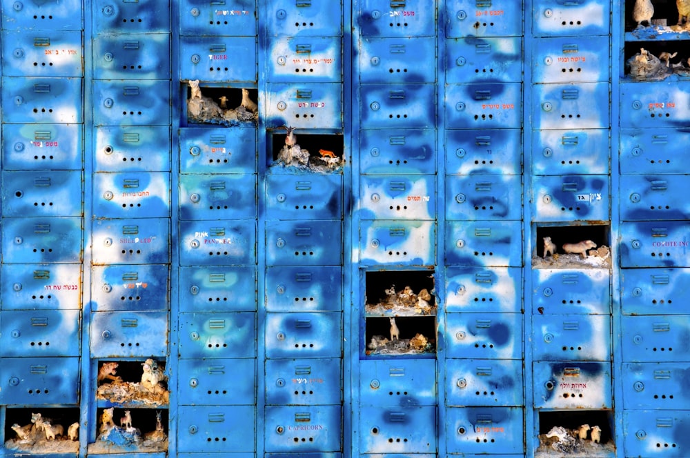 a bunch of blue lockers with cats in them