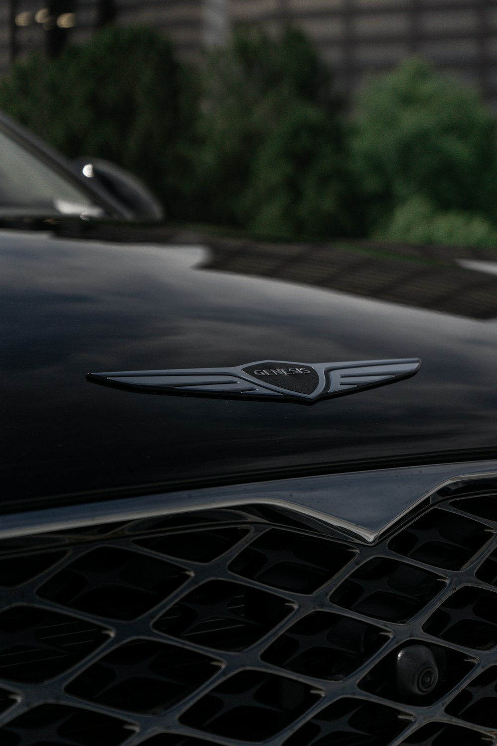 a close up of a car's grille with a building in the background