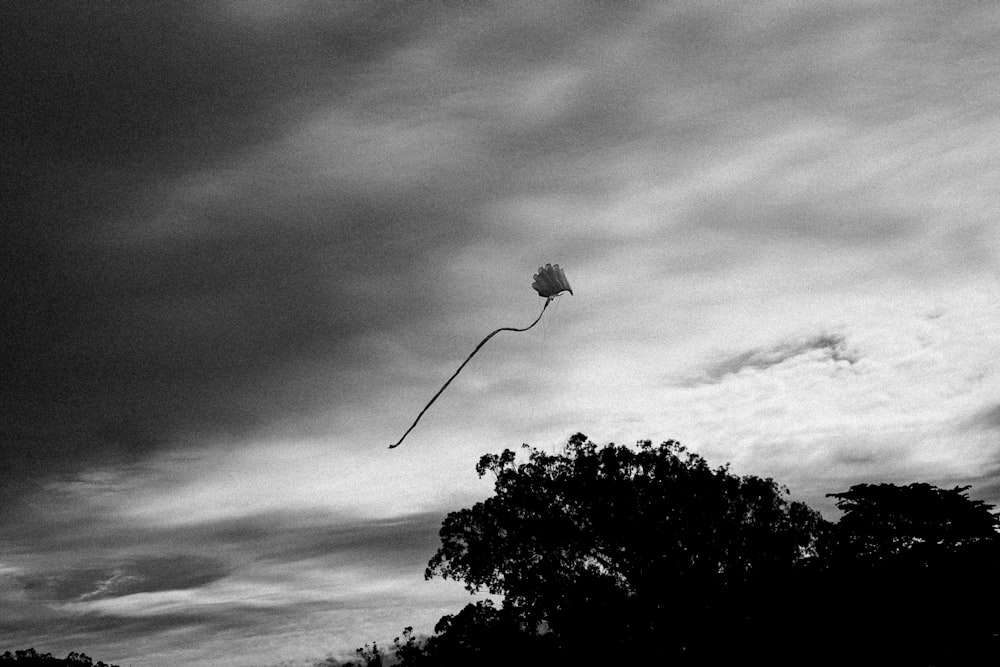 a black and white photo of a kite flying in the sky