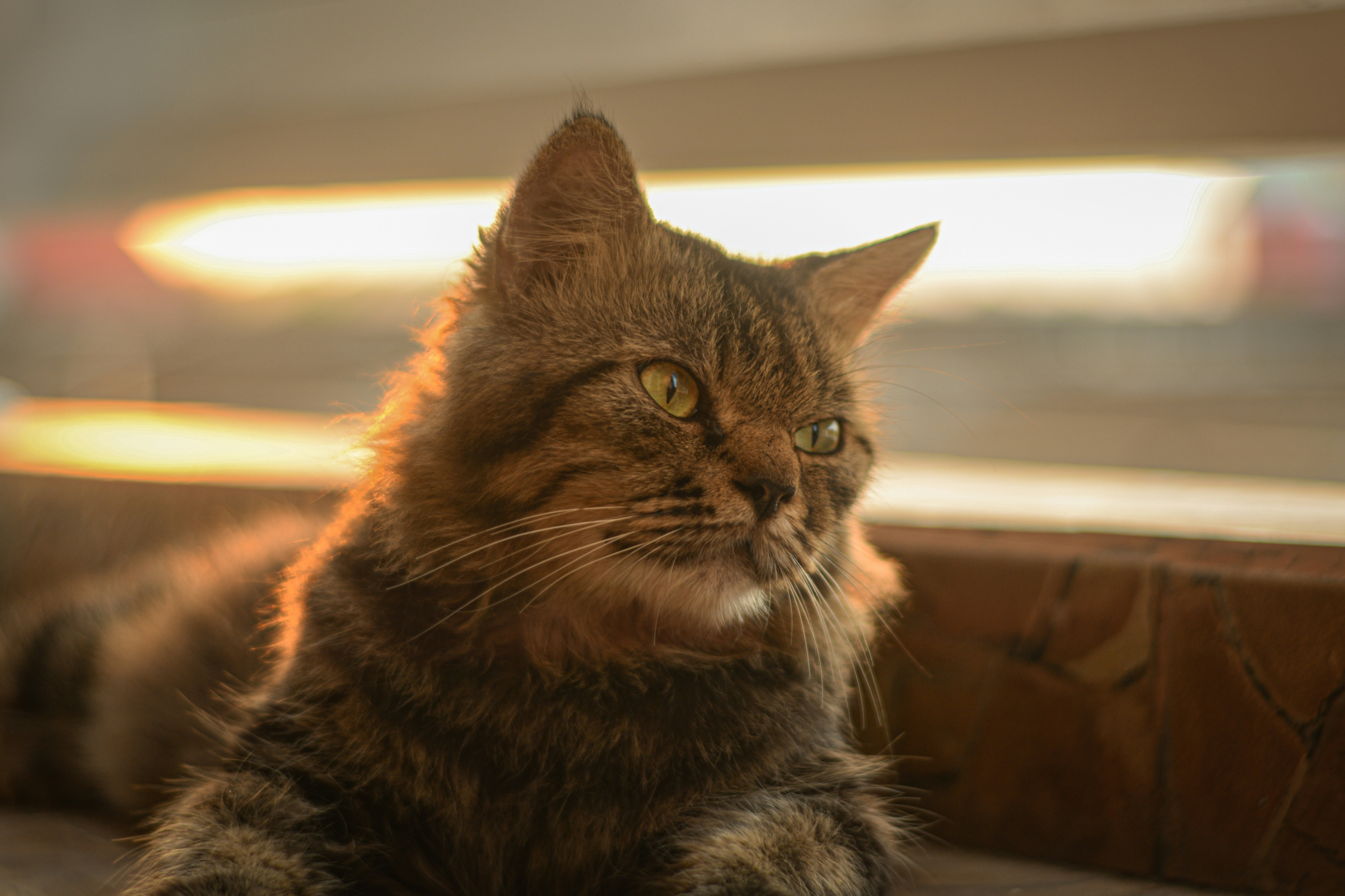 Photo by fajarmagsyar