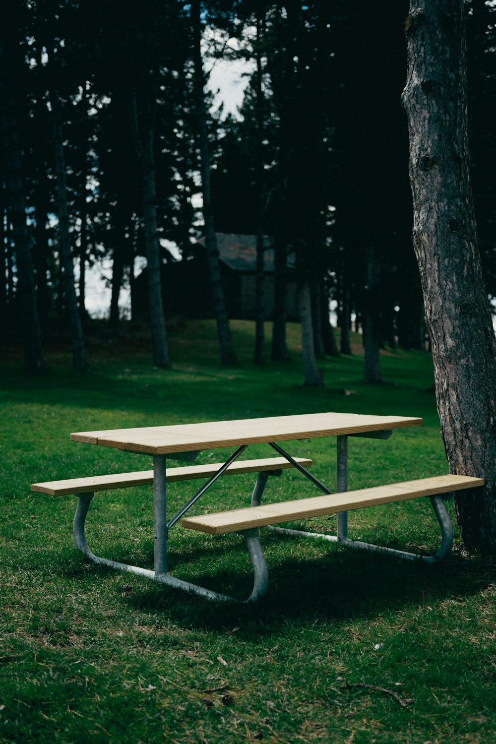 a picnic table in the middle of a grassy field