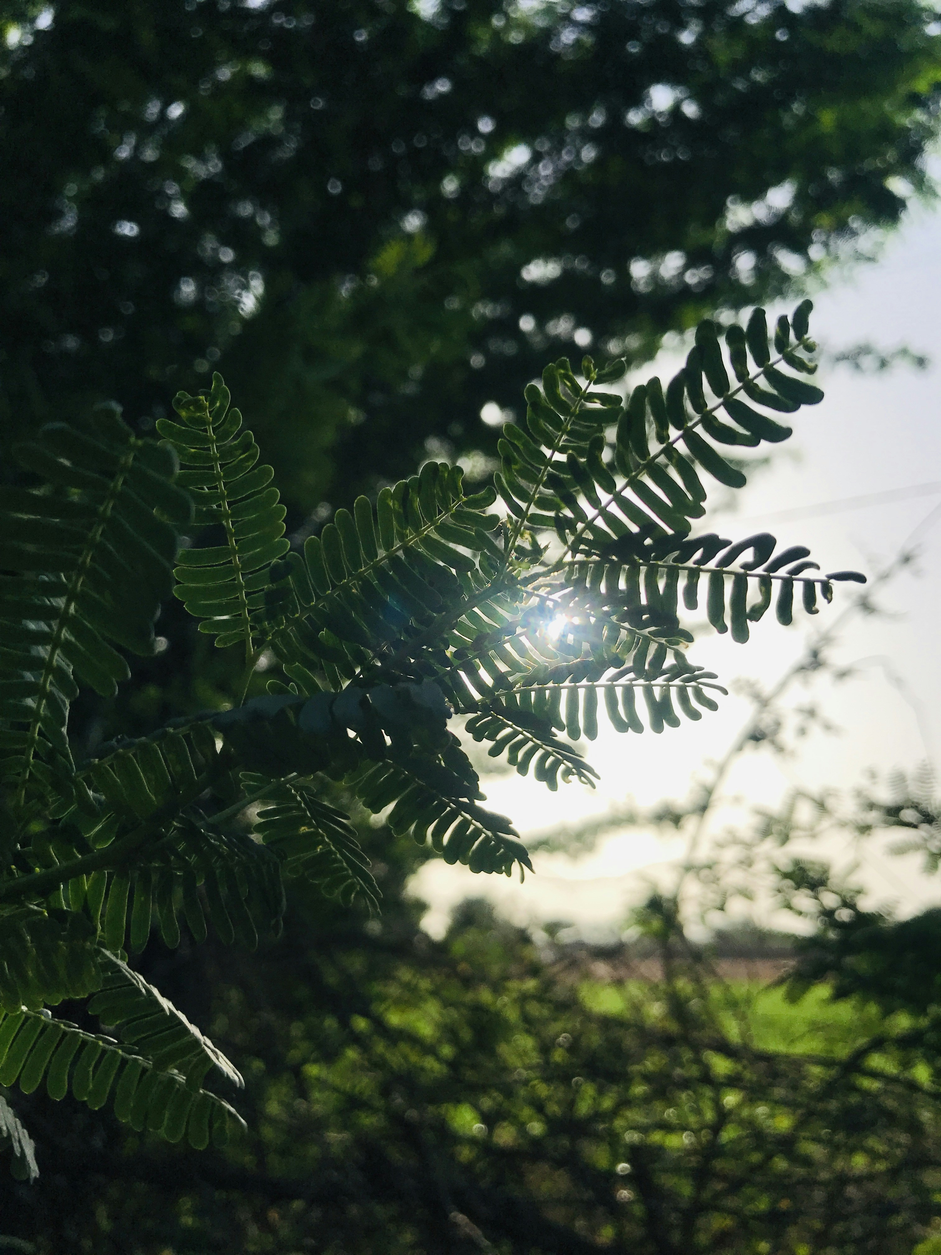 Photo by kailash_captures