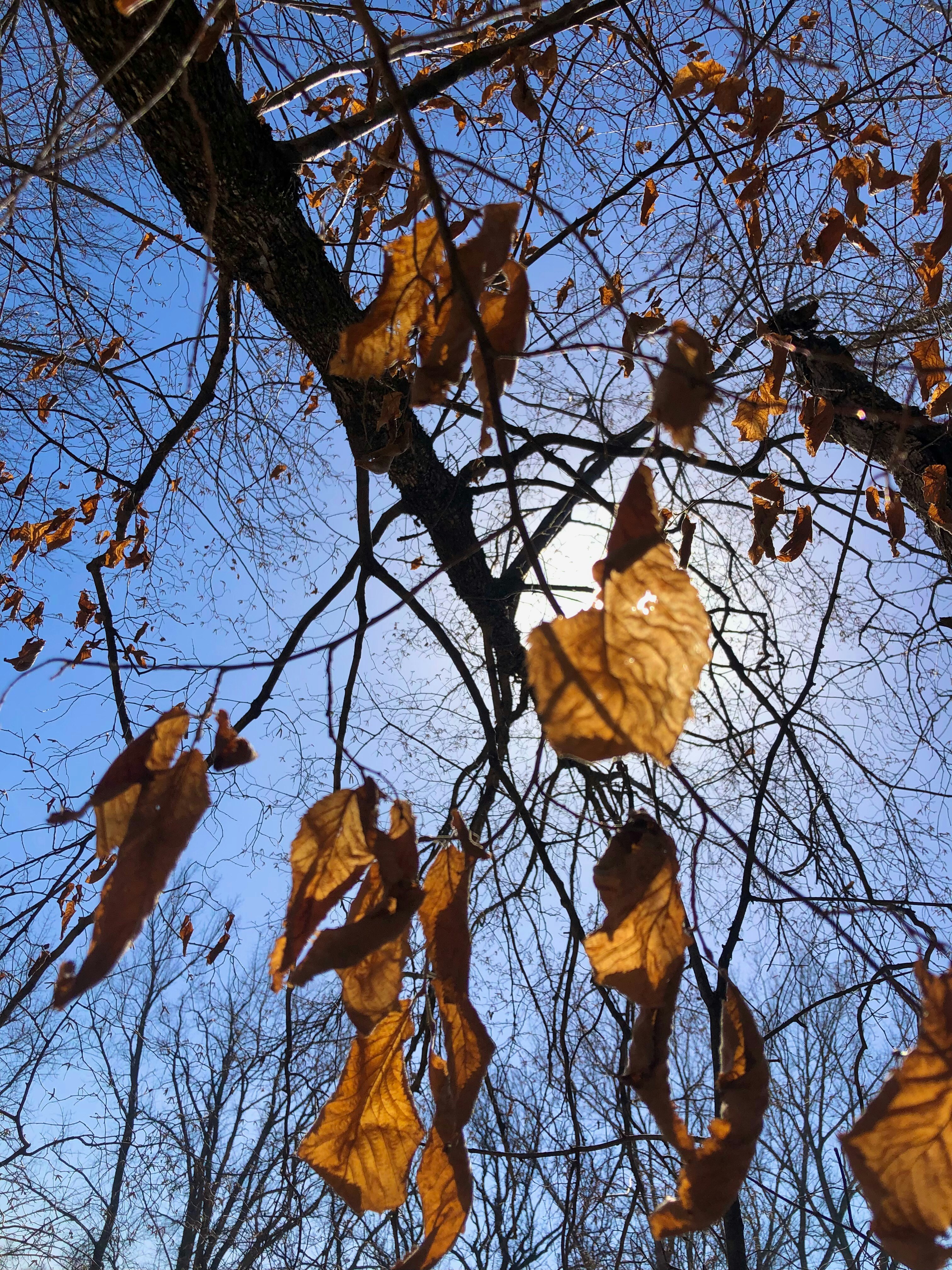 Photo by twinkers_photag