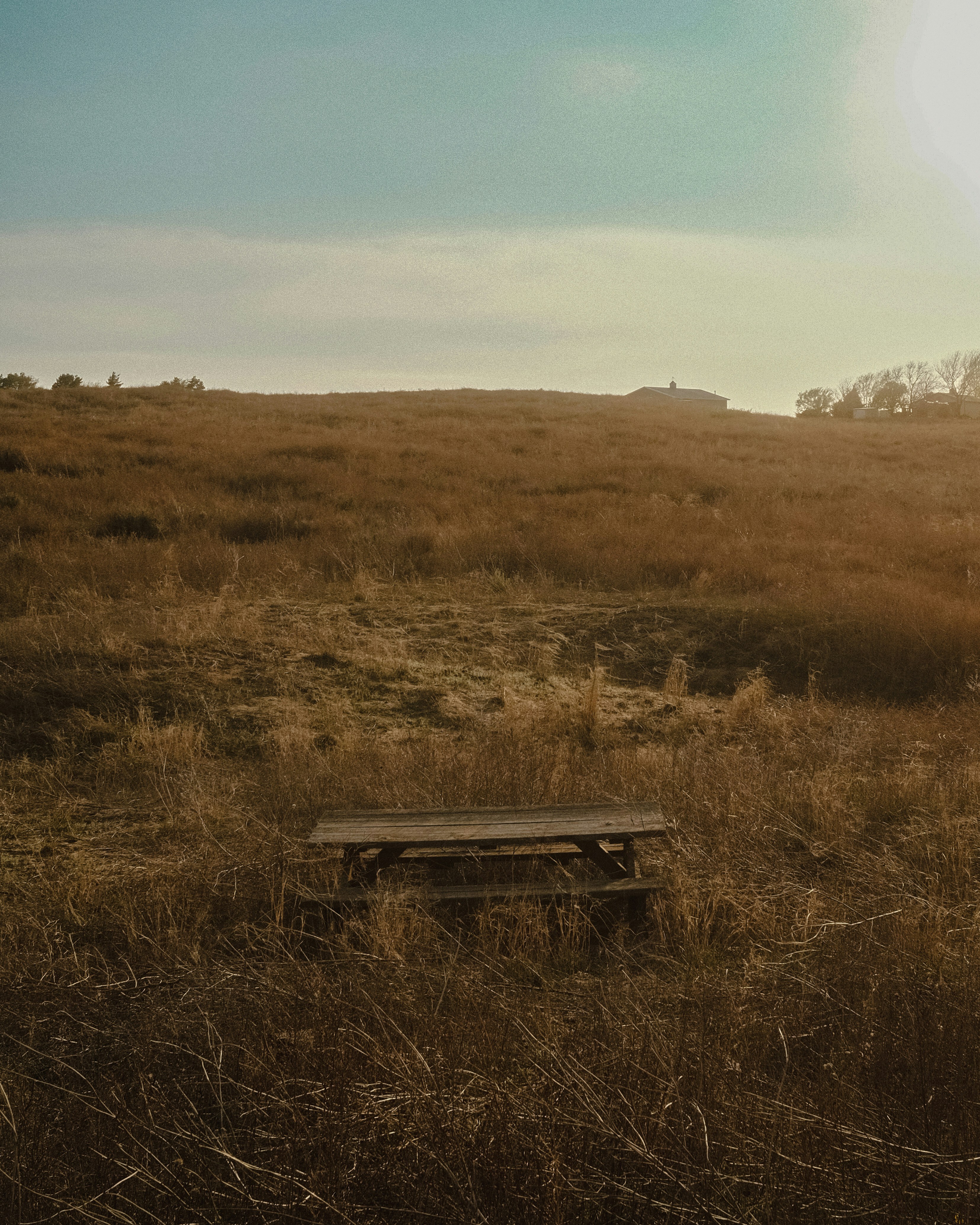 Photo by luisreyesphotography