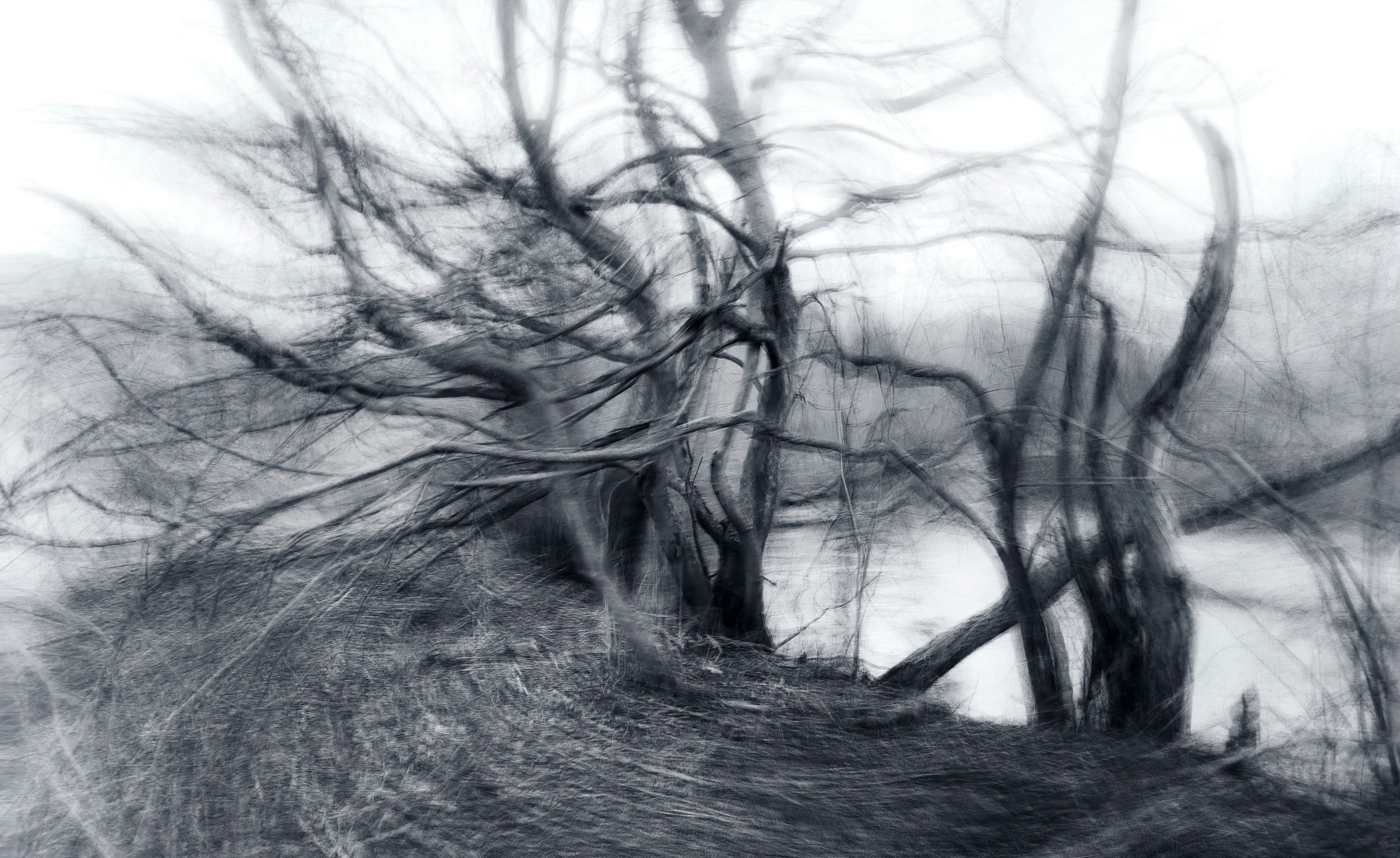 Photo by eugene_golovesov