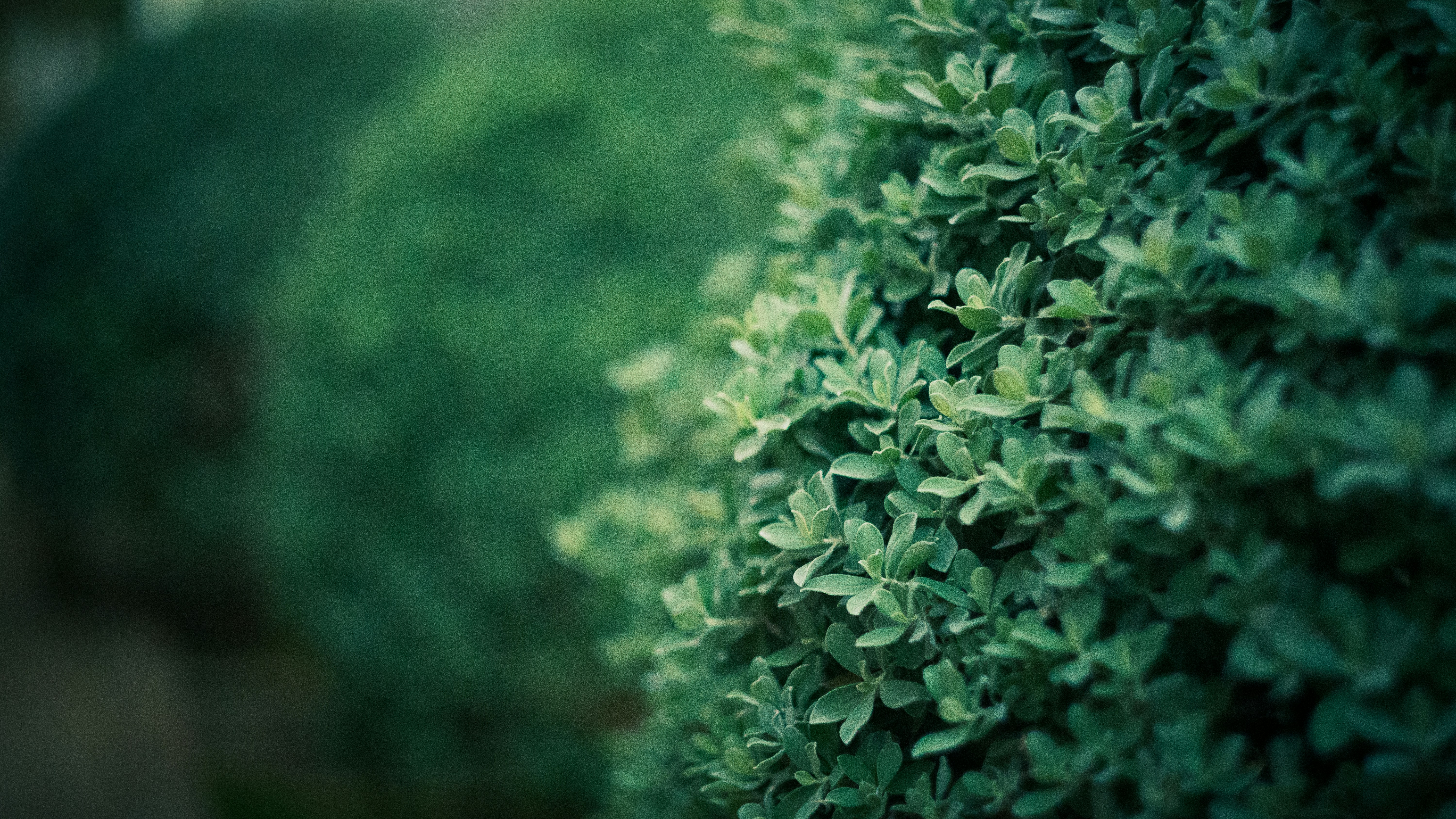 Photo by lucasdalamartaphoto