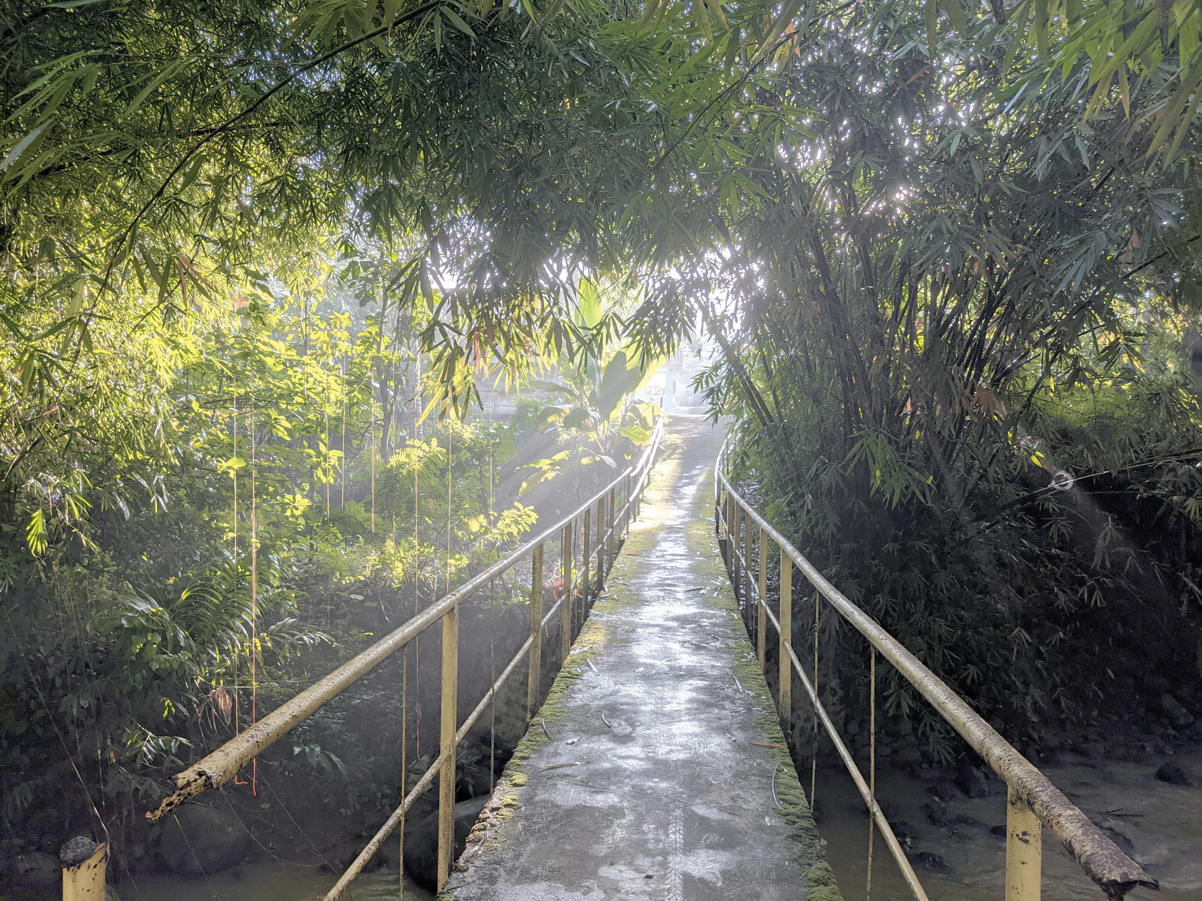 Photo by indraazzikri