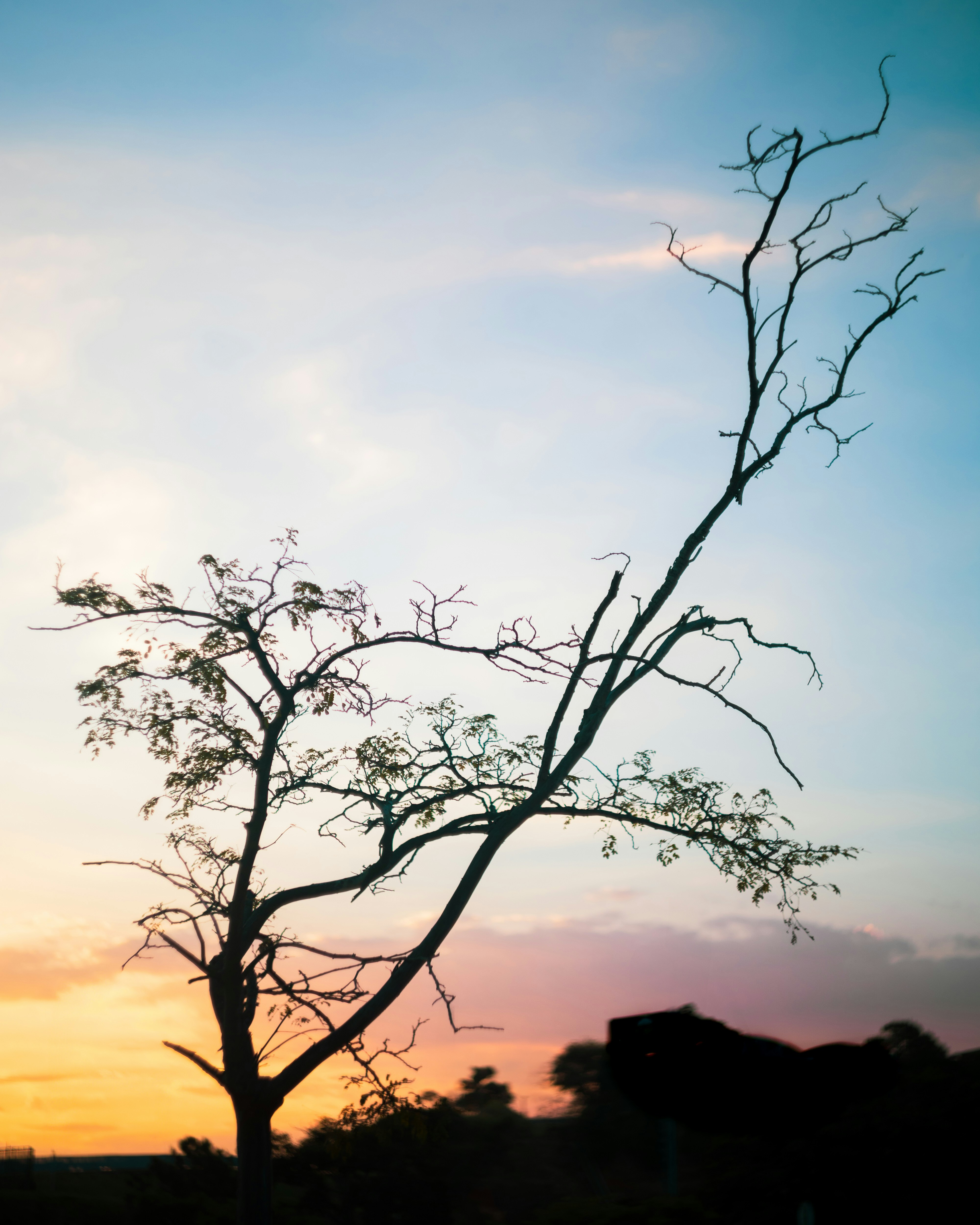 Photo by lucasdalamartaphoto