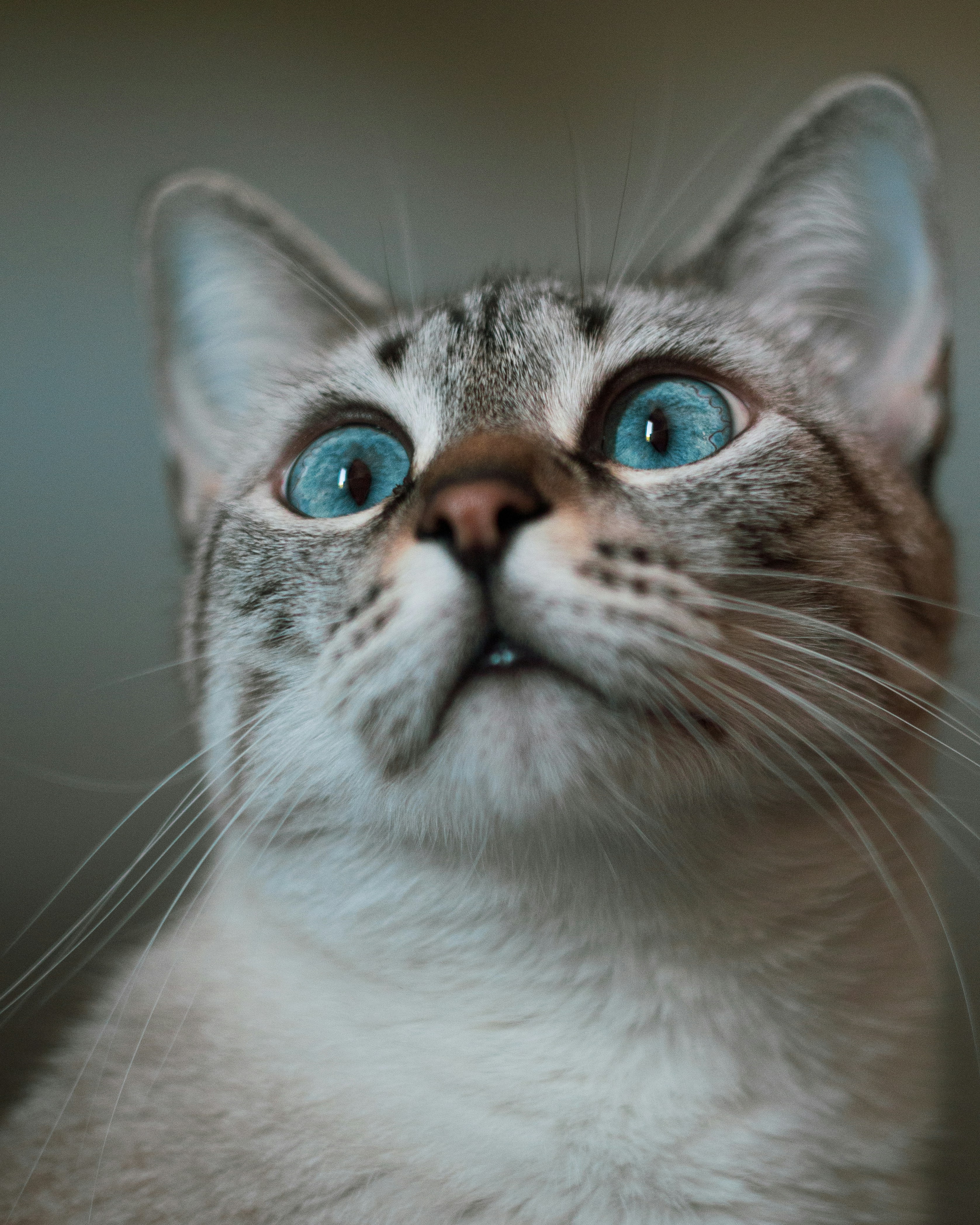 Photo by lucasdalamartaphoto