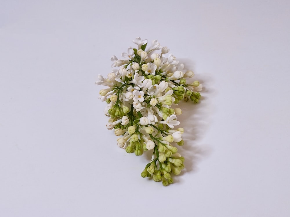 a bunch of white and green flowers on a white surface