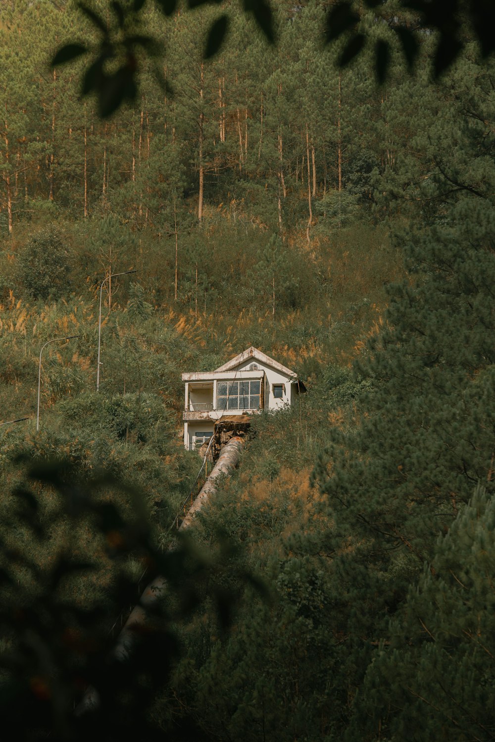 a small house in the middle of a forest