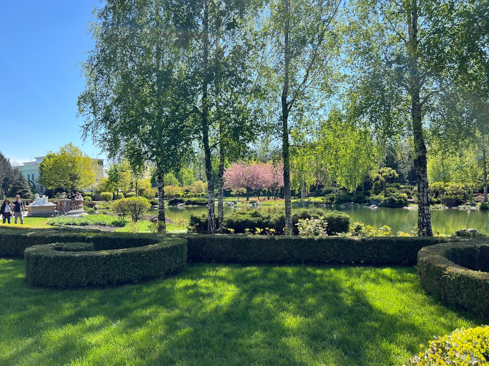 a lush green park with a lake and trees