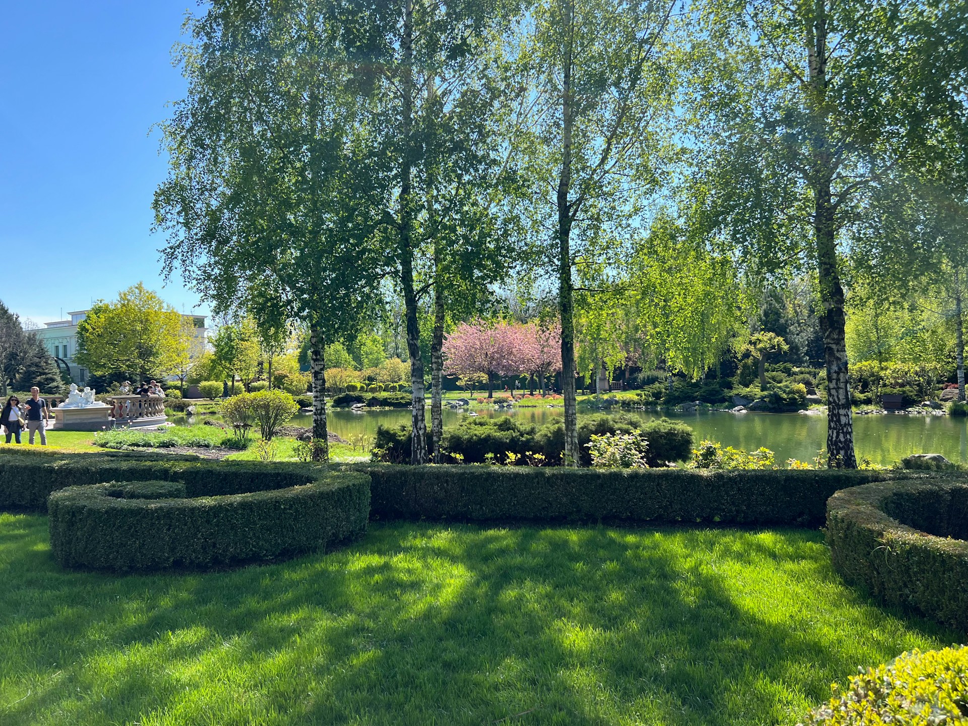 a lush green park with a lake and trees