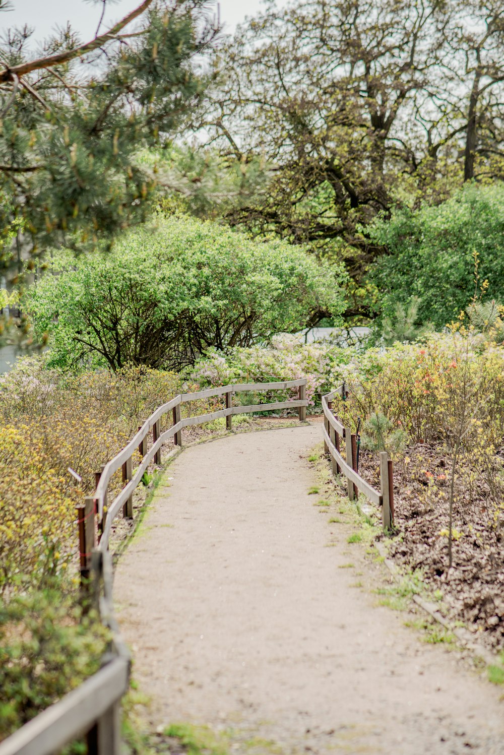 a wooden bridge over a dirt path surrounded by trees