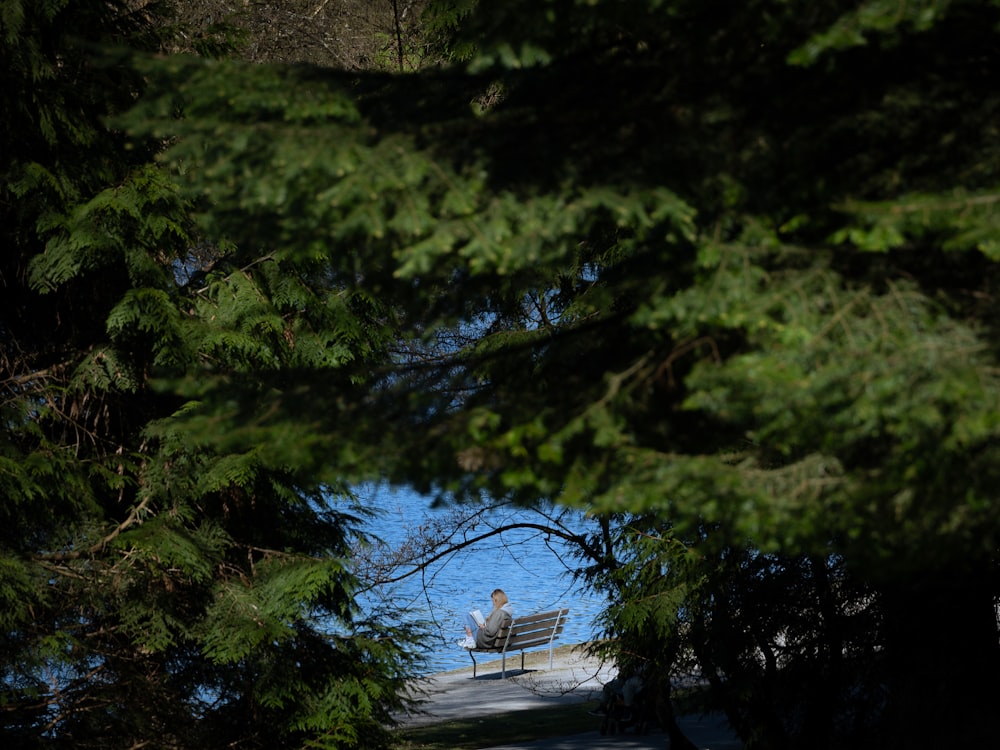 a person sitting on a bench in the middle of a forest