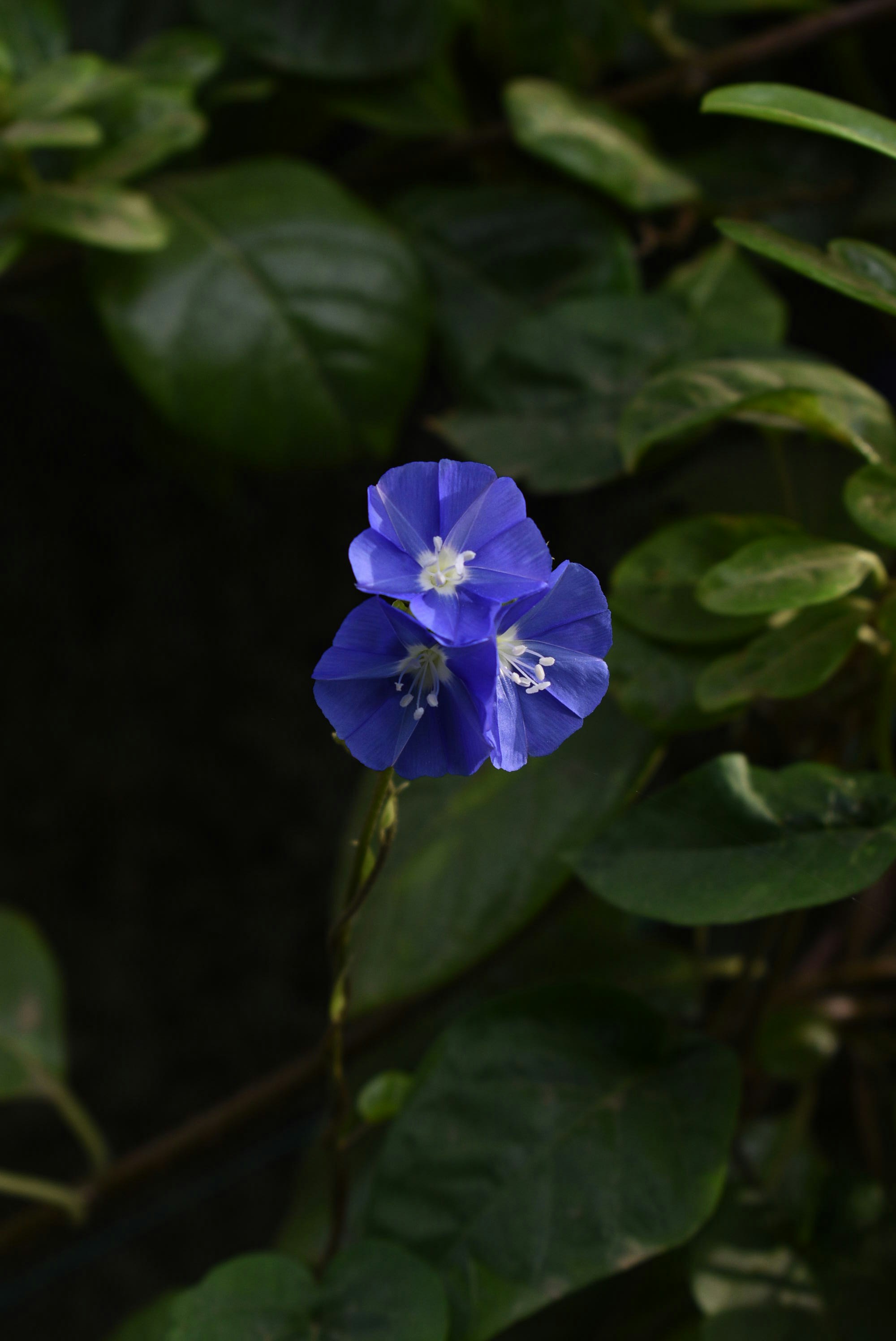 Photo by thelostsoul_witch