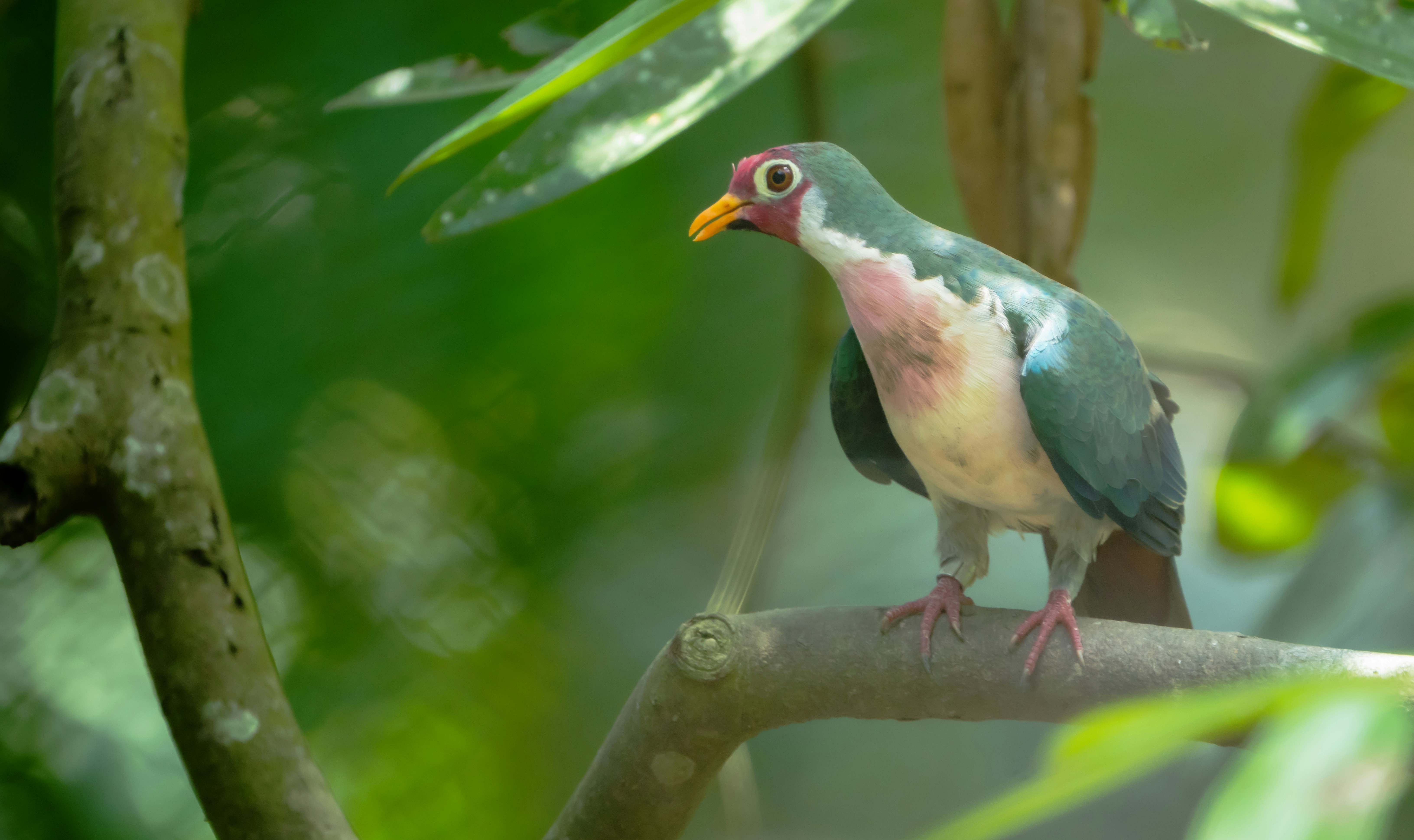 Photo by mhphotography13