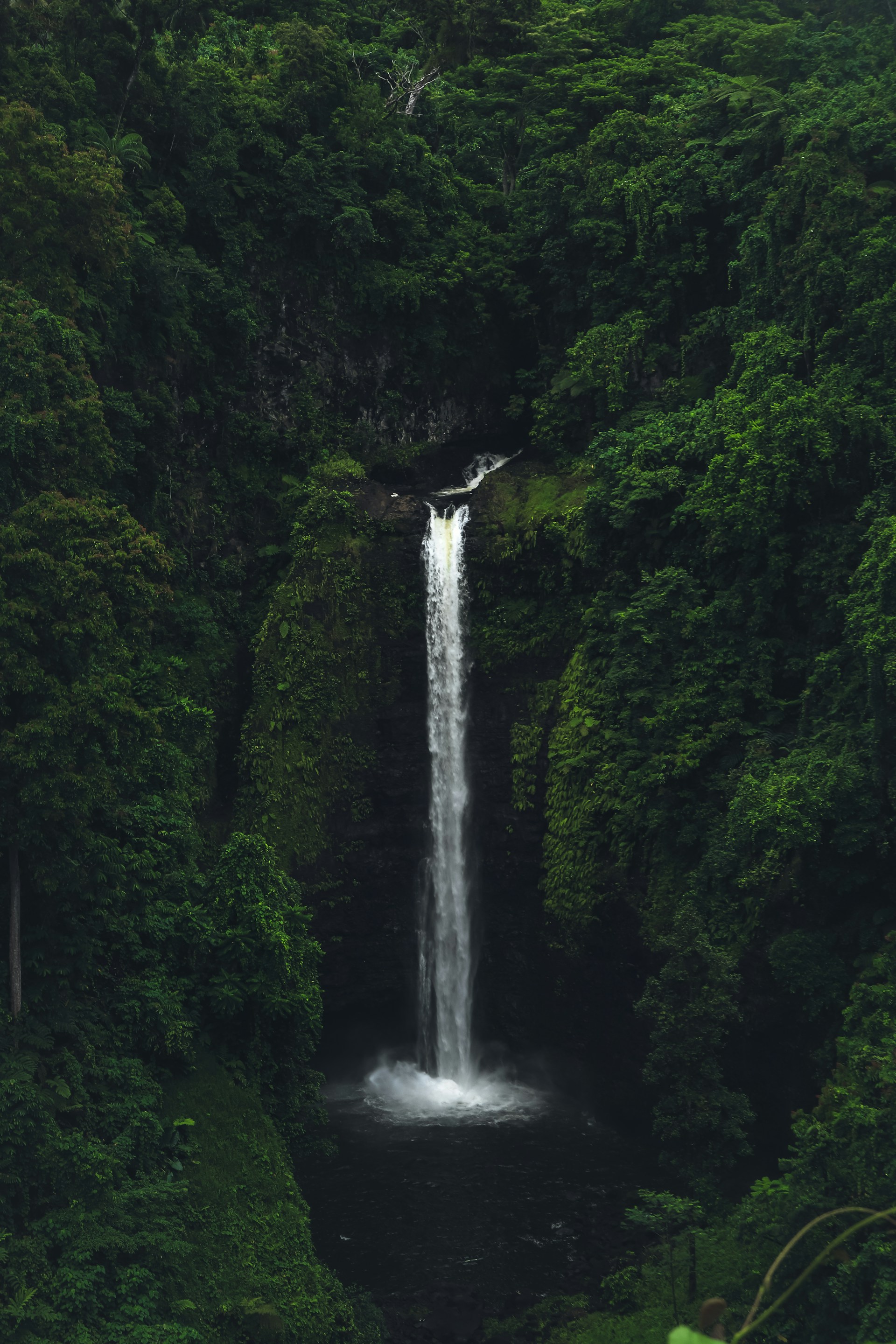 a large waterfall in the middle of a forest